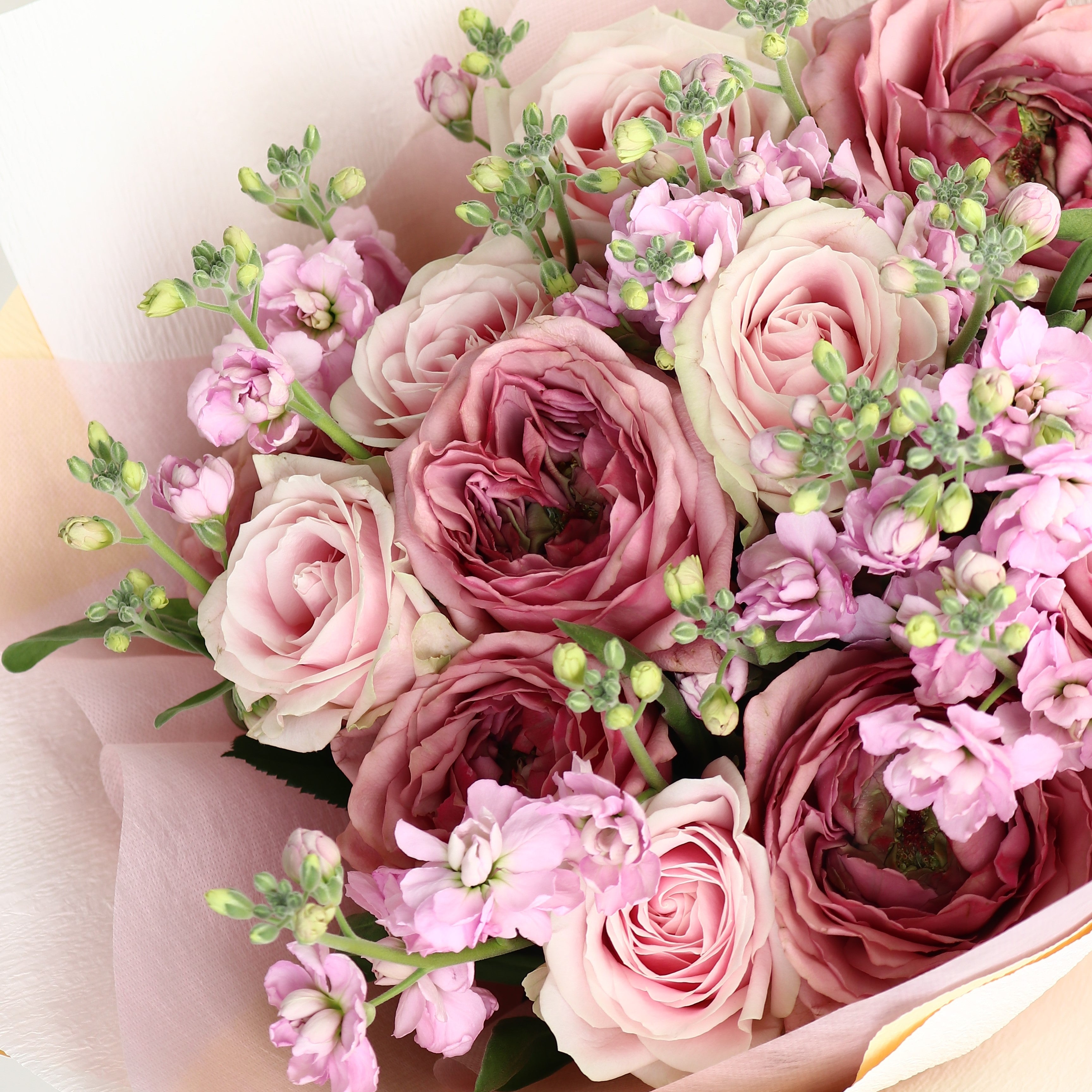 バラの花束「誓いの花束 巨大輪12本のピンクのバラアンティーク調ブーケ」レッド系 ギフト プレゼント プロポーズ 2Lサイズ