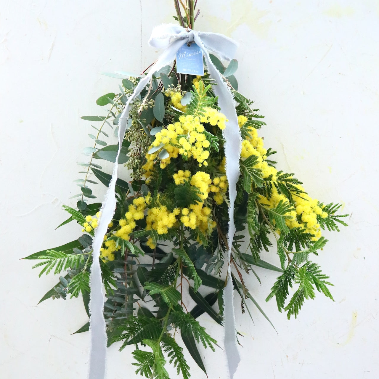 ミモザ「『花言葉は感謝』フランスミモザ・ミランドールのスワッグ M」ミモザの日 ミランドール 女性に贈る 国際女性デー 身近な女性に感謝をする日 ミモザの日を過ぎてもOK