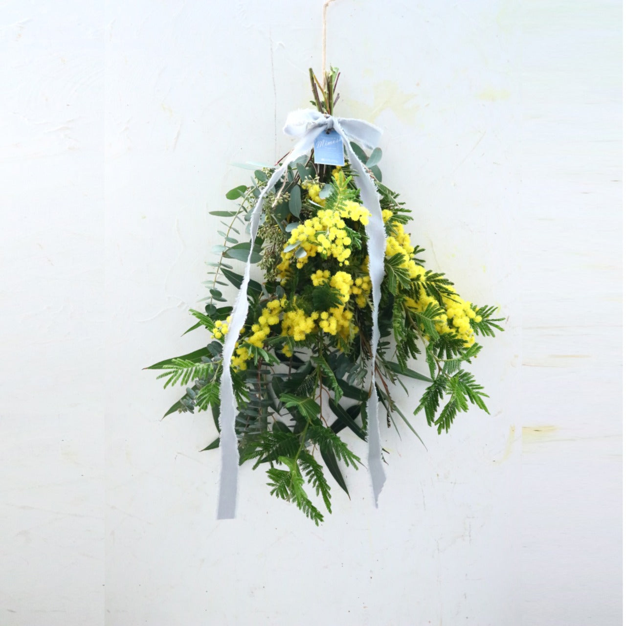 ミモザ「『花言葉は感謝』フランスミモザ・ミランドールのスワッグ M」ミモザの日 ミランドール 女性に贈る 国際女性デー 身近な女性に感謝をする日 ミモザの日を過ぎてもOK