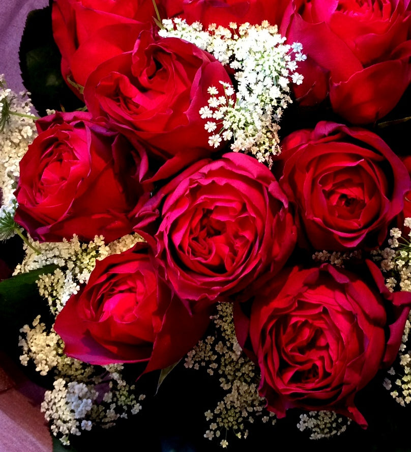 赤いバラと白い小花の誓いの花束