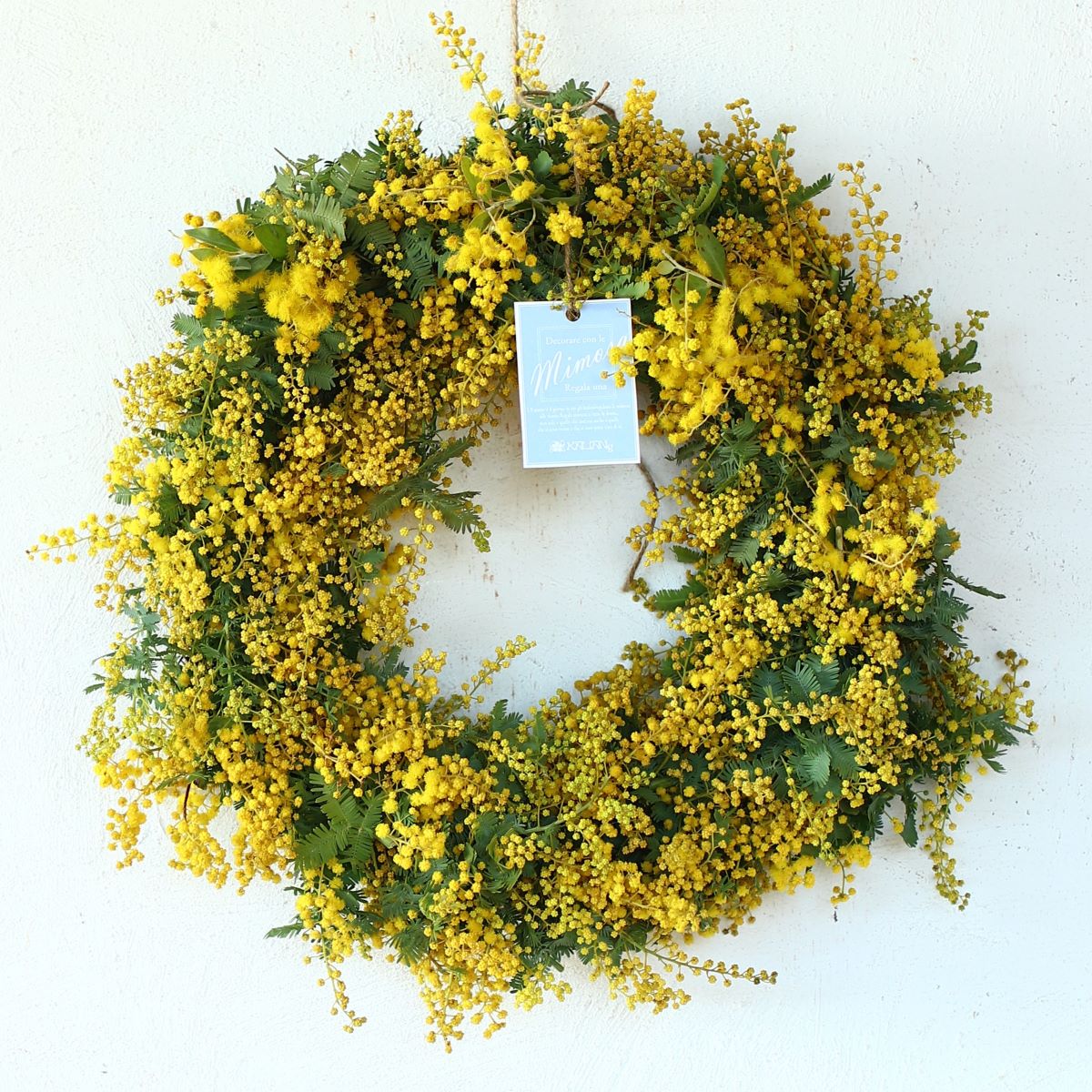 ミモザ 「ミモザのドライフラワーになるフレッシュリース」Lサイズ 35cm ミモザ フレッシュ ミモザアカシア