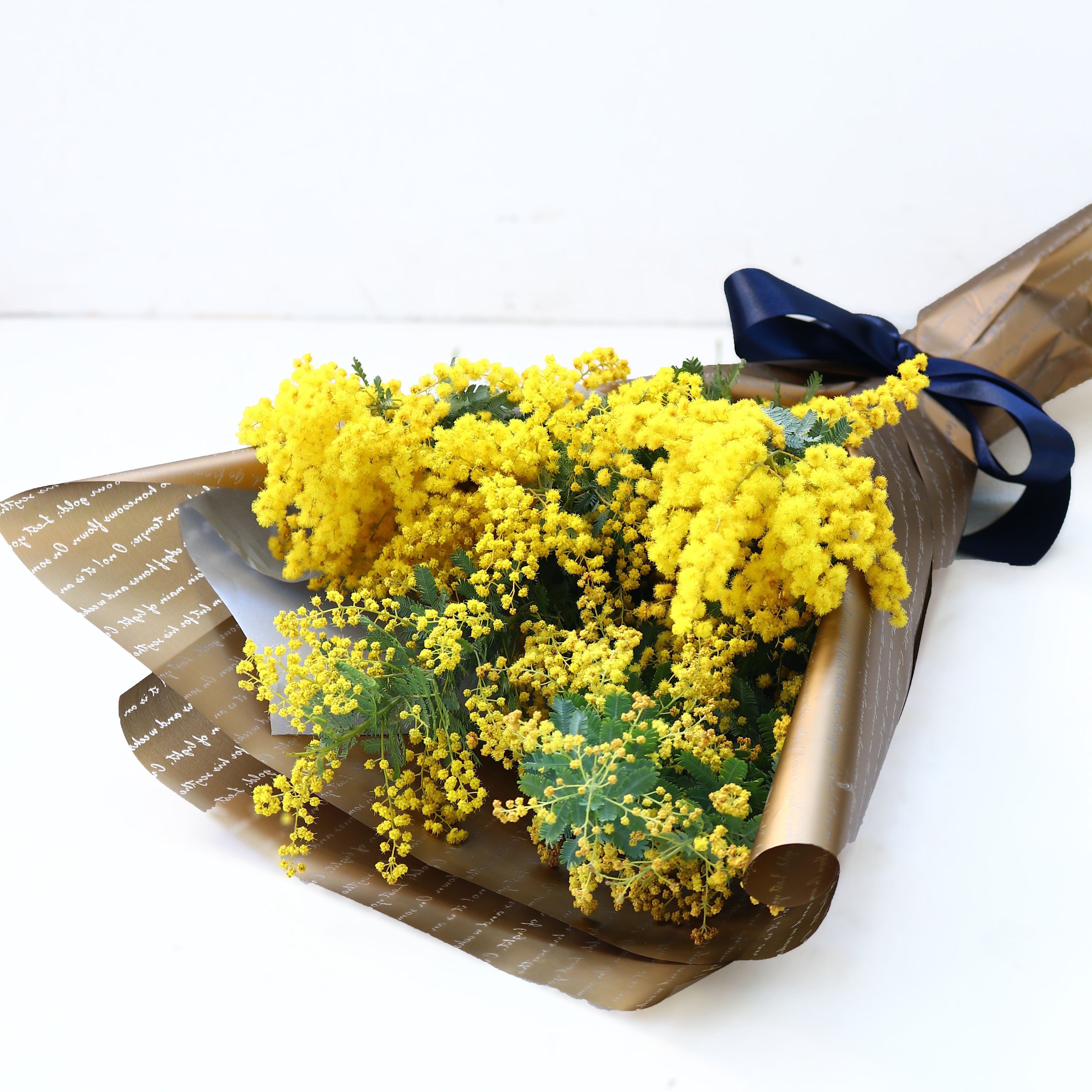 ミモザ 花束「ミモザのフレッシュブーケ」Sサイズ 50cm ミモザ フレッシュ ミモザアカシア 花束