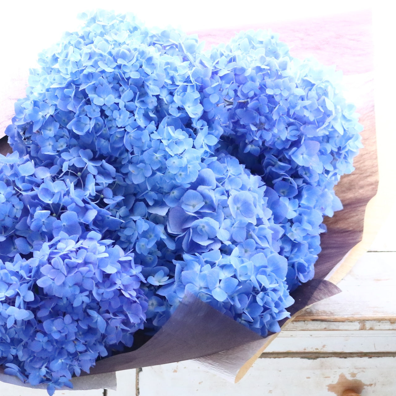 花束「爽やかなそして鮮やかなアジサイのブーケ」Lサイズ ブーケ 父の日 記念日 ギフト お誕生日 6月の贈り物