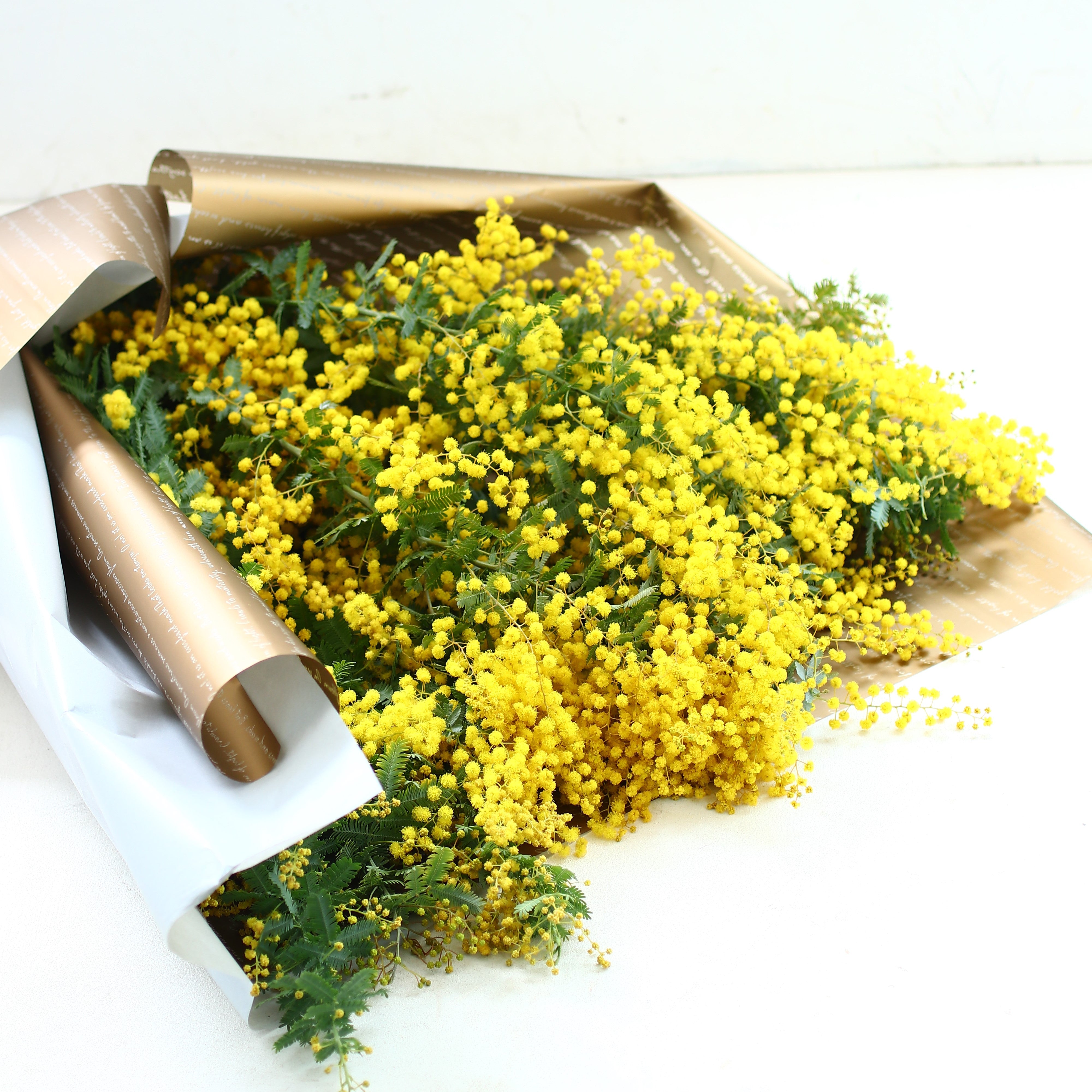 ミモザ 花束「ミモザのフレッシュブーケ」Lサイズ 70cm ミモザ フレッシュ ミモザアカシア 花束