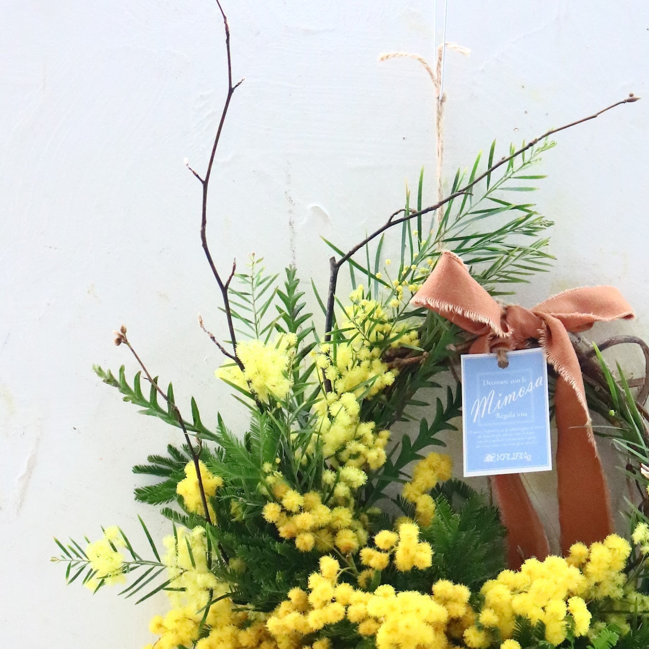 ミモザ「『花言葉は感謝』フランスミモザ・ミランドールの春を呼ぶ〜ドライになるまで楽しむ〜フレッシュクレッセントリースM」ミモザの日 ミランドール 女性に贈る 国際女性デー 身近な女性に感謝をする日 ミモザの日を過ぎてもOK