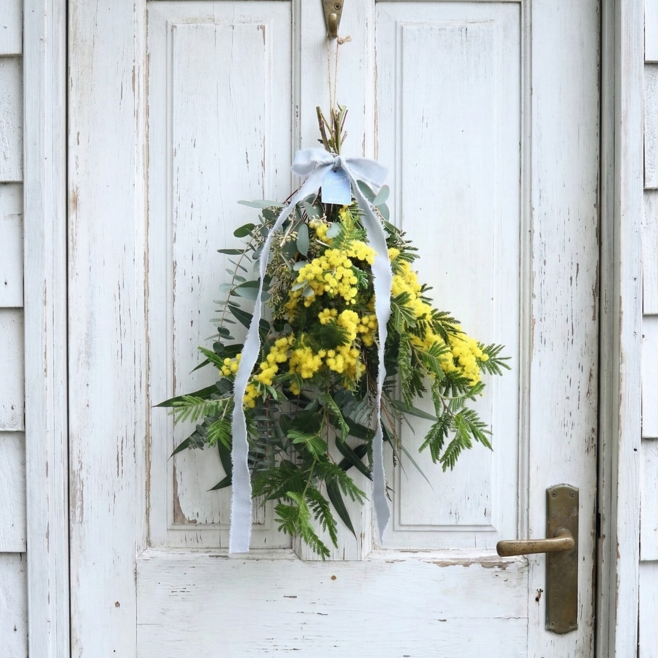 ミモザ「『花言葉は感謝』フランスミモザ・ミランドールのスワッグ M」ミモザの日 ミランドール 女性に贈る 国際女性デー 身近な女性に感謝をする日 ミモザの日を過ぎてもOK