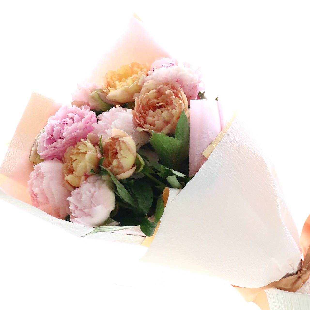 シャクヤク 花束「杏~大輪シャクヤクのアプリコットMIX12本ブーケ」Lサイズ芍薬 ブーケ 杏色 アプリコット オレンジ系 誕生日 退職祝い 送別祝い プロポーズ 結婚祝い