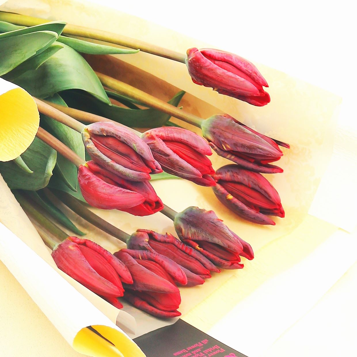 春の花束「春を彩るチューリップの花束 赤系MIX10本」Sサイズ ブーケ お誕生日 お祝い 卒業 入学 離職 就職 就任