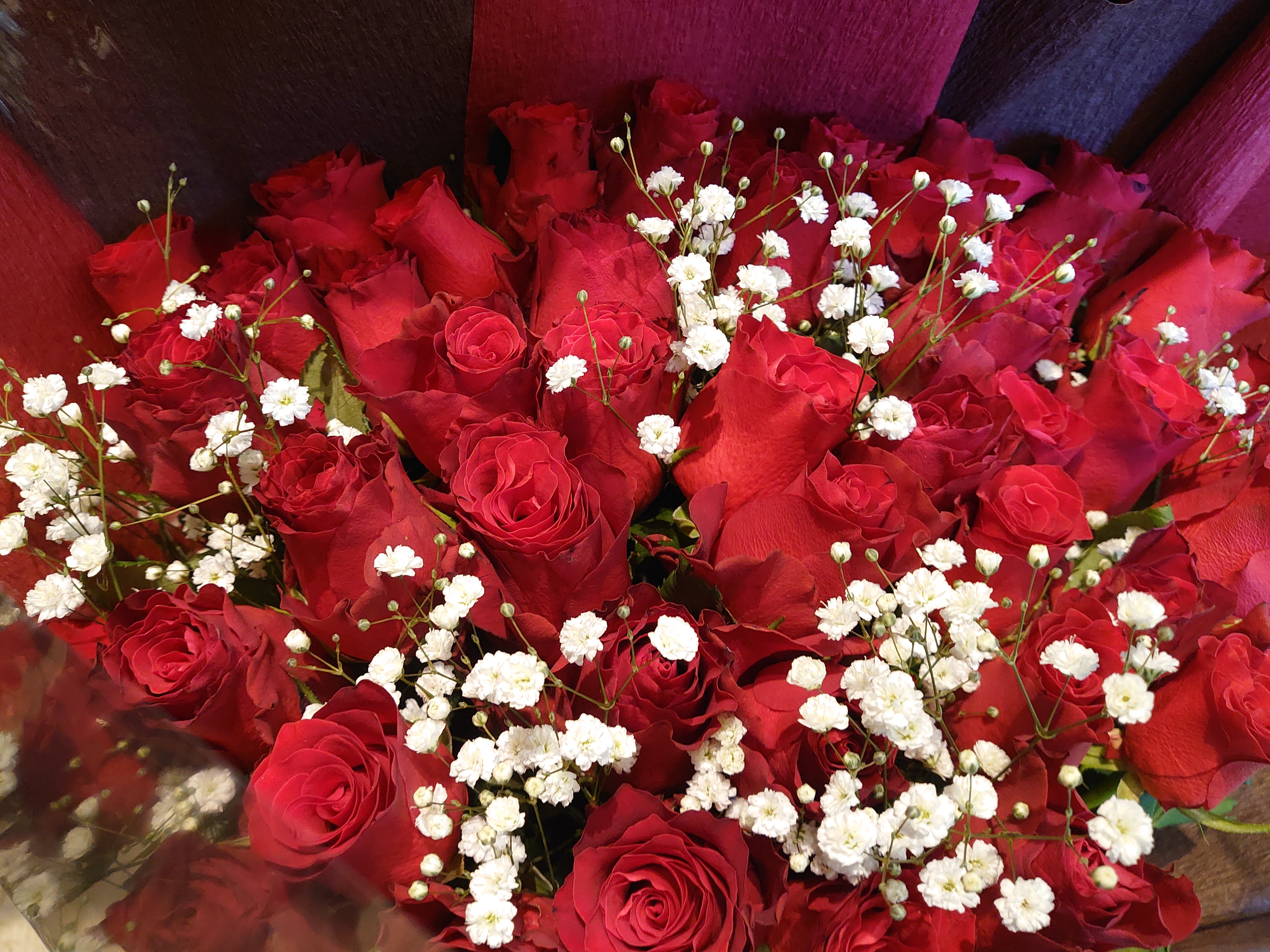 赤いバラの花束 45本とかすみ草 (RED ROSE 45 & Baby Breath)