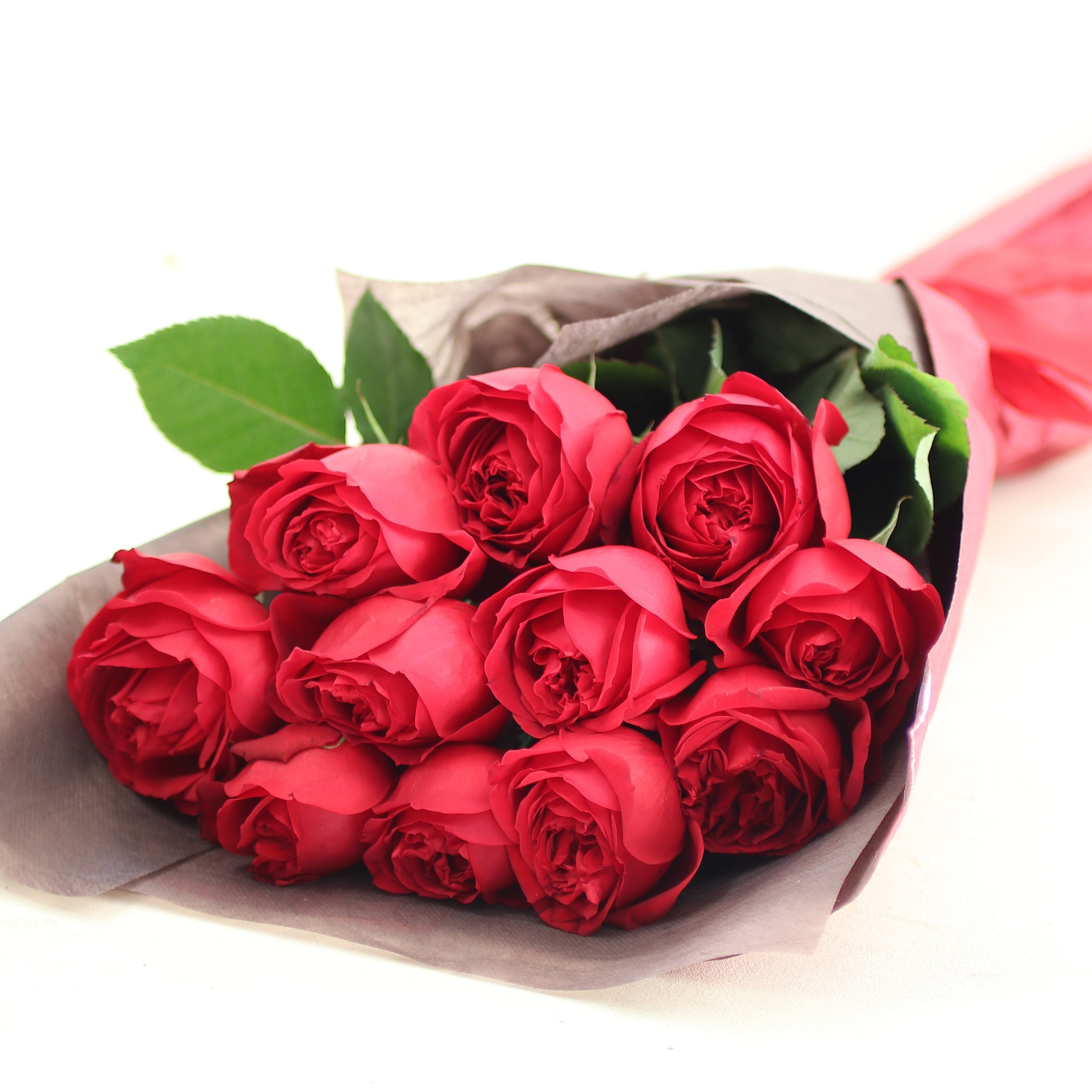 バラの花束「誓いの花束 大輪12本の赤バラ「レッドエレガンス」のブーケ」レッド系 ギフト プレゼント プロポーズ Lサイズ