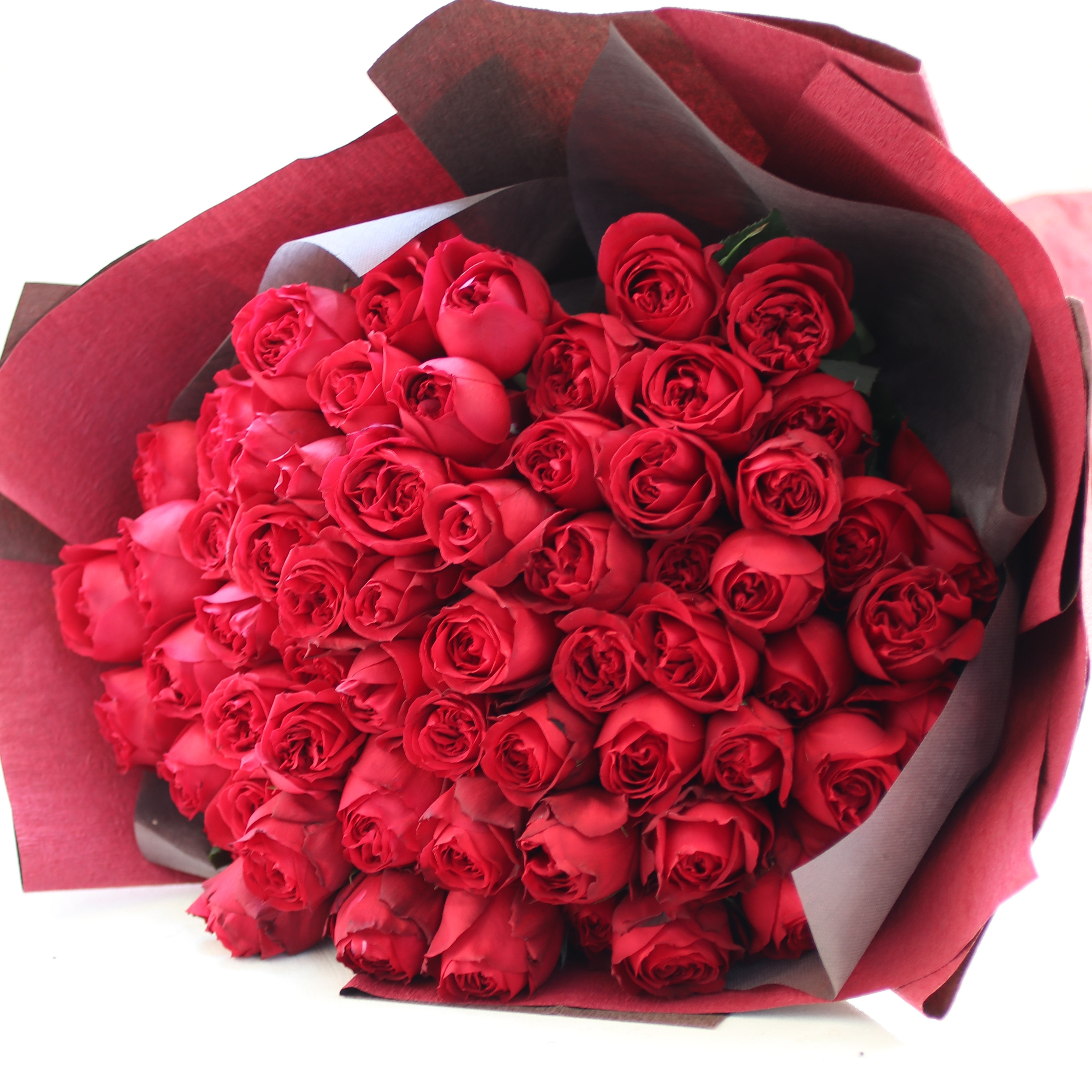 バラの花束「還暦祝い カップ咲き大輪 赤いバラ レッドエレガンスの花束60本」 赤 レッド系 還暦 お誕生日 プロポーズ 結婚式 Mサイズ