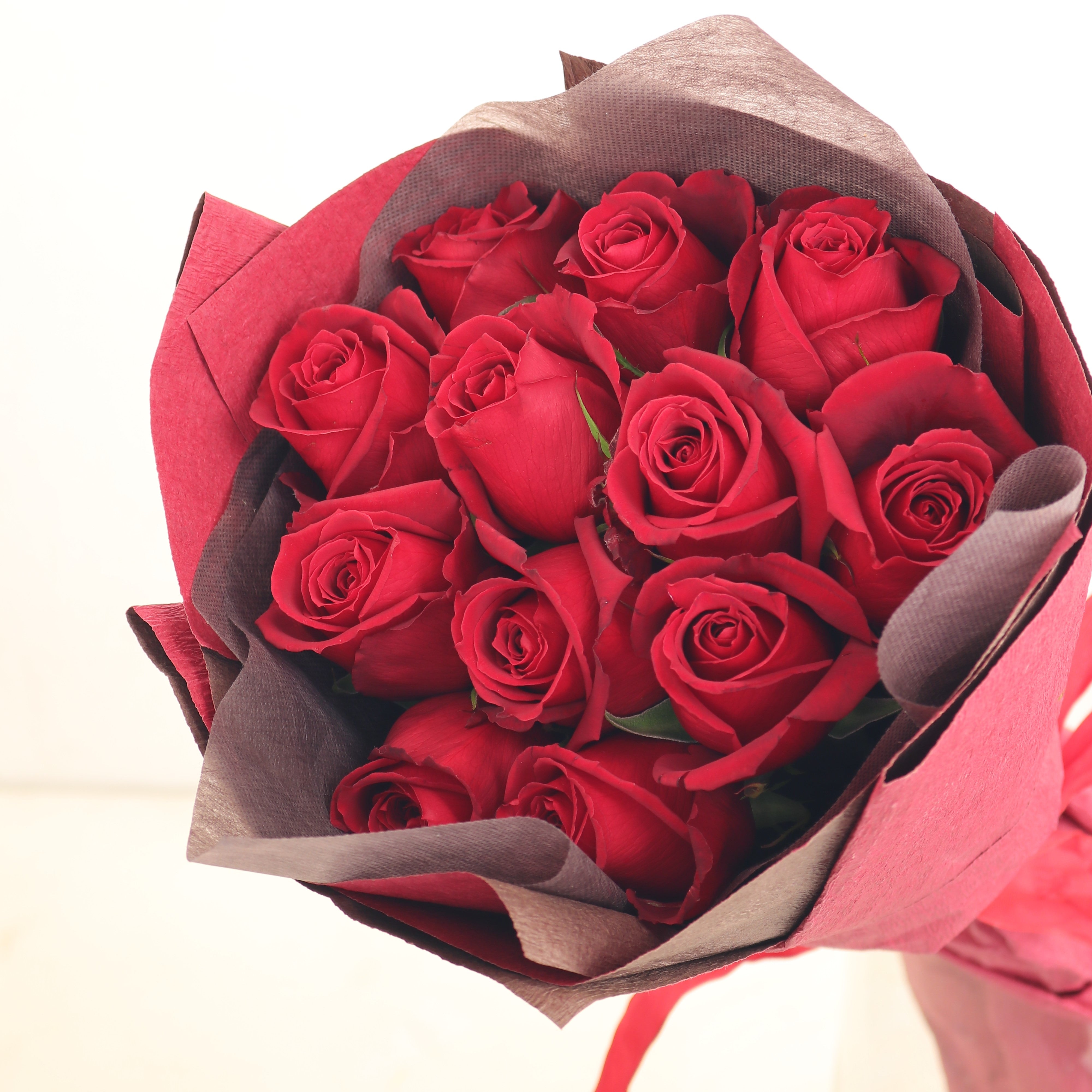 バラの花束「誓いの花束 巨大輪12本の赤バラブーケ」レッド系 ギフト プレゼント プロポーズ 2Lサイズ