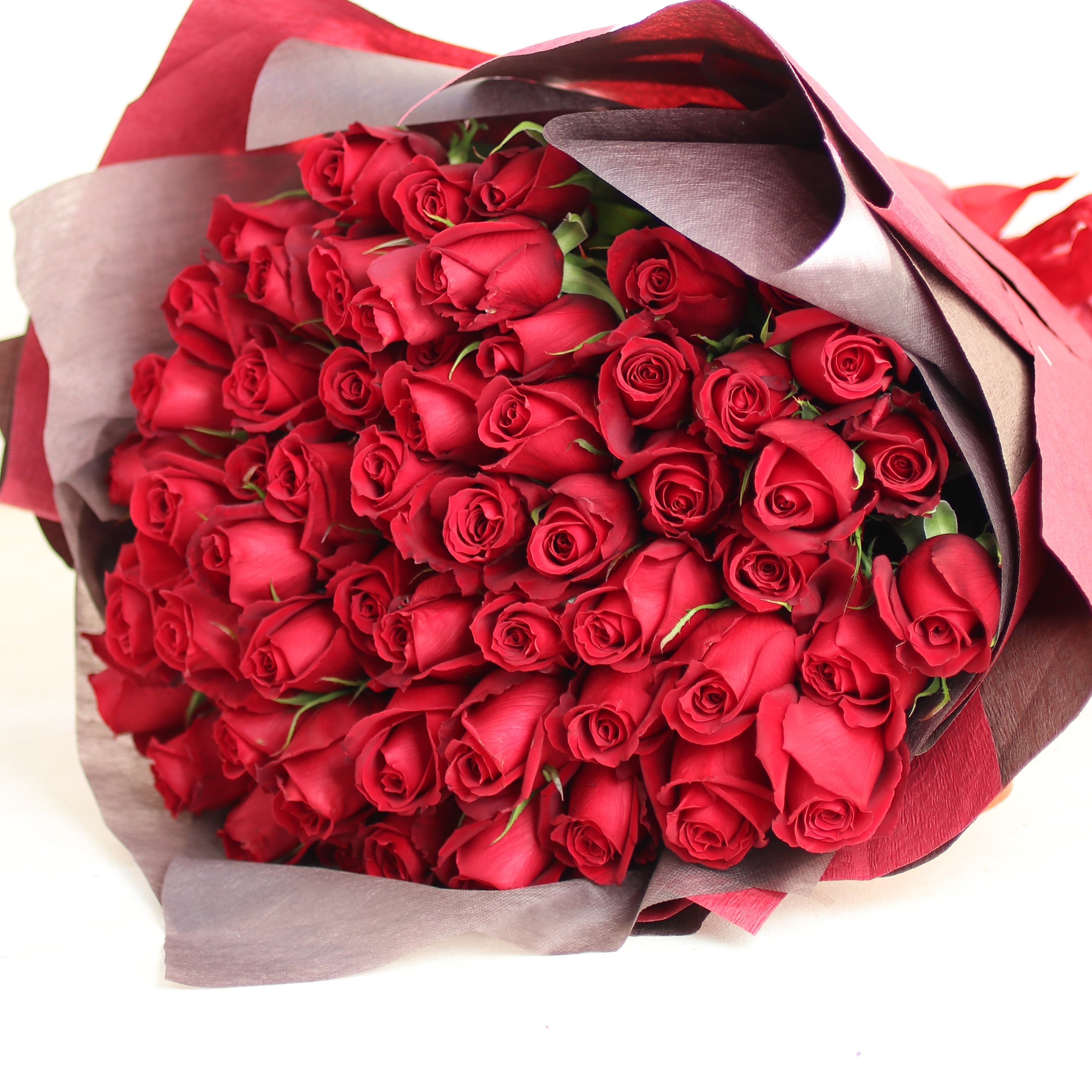 バラの花束「還暦祝い 極上 巨大輪 赤いバラの花束60本」 赤 レッド系 還暦 お誕生日 プロポーズ 結婚式 2Lサイズ
