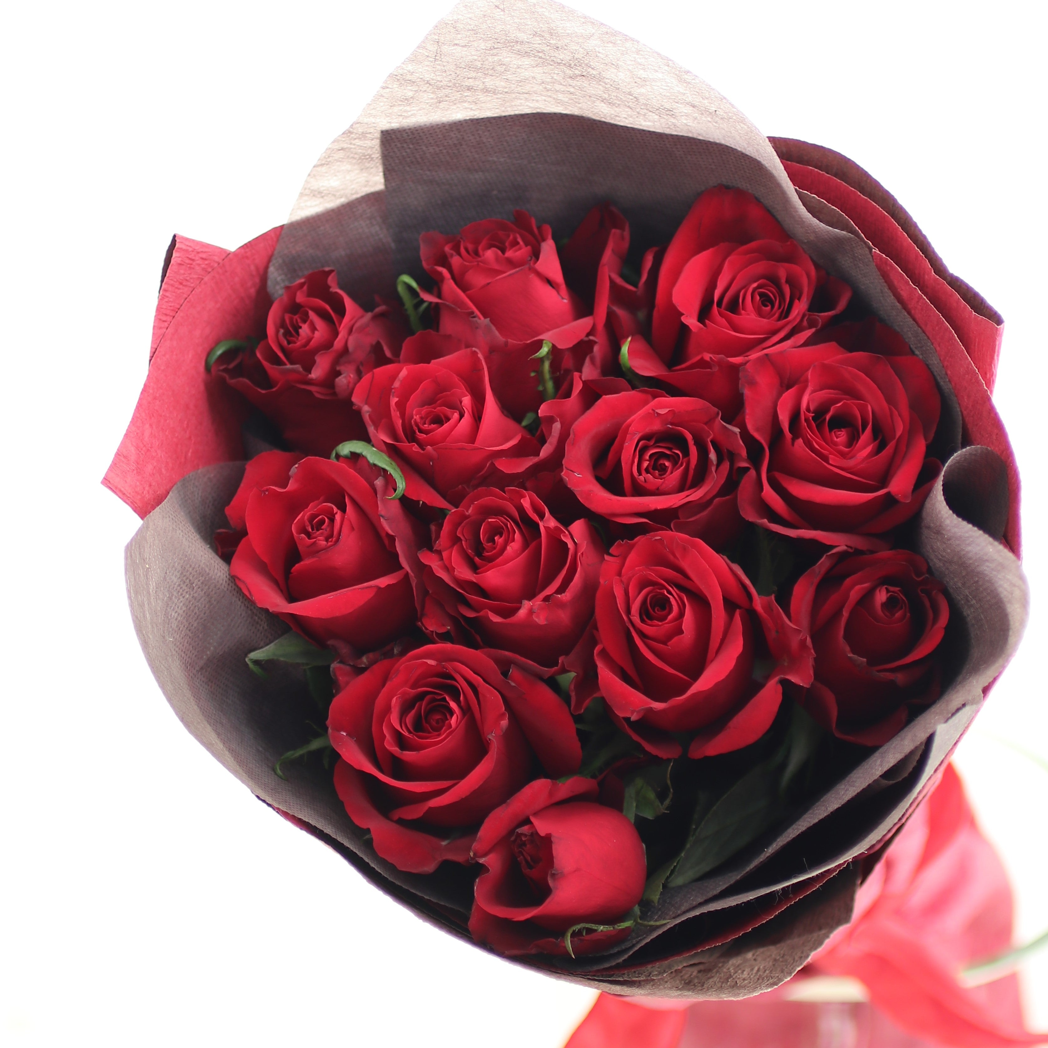 バラの花束「誓いの花束 大輪12本の赤バラブーケ」レッド系 ギフト プレゼント プロポーズ Mサイズ