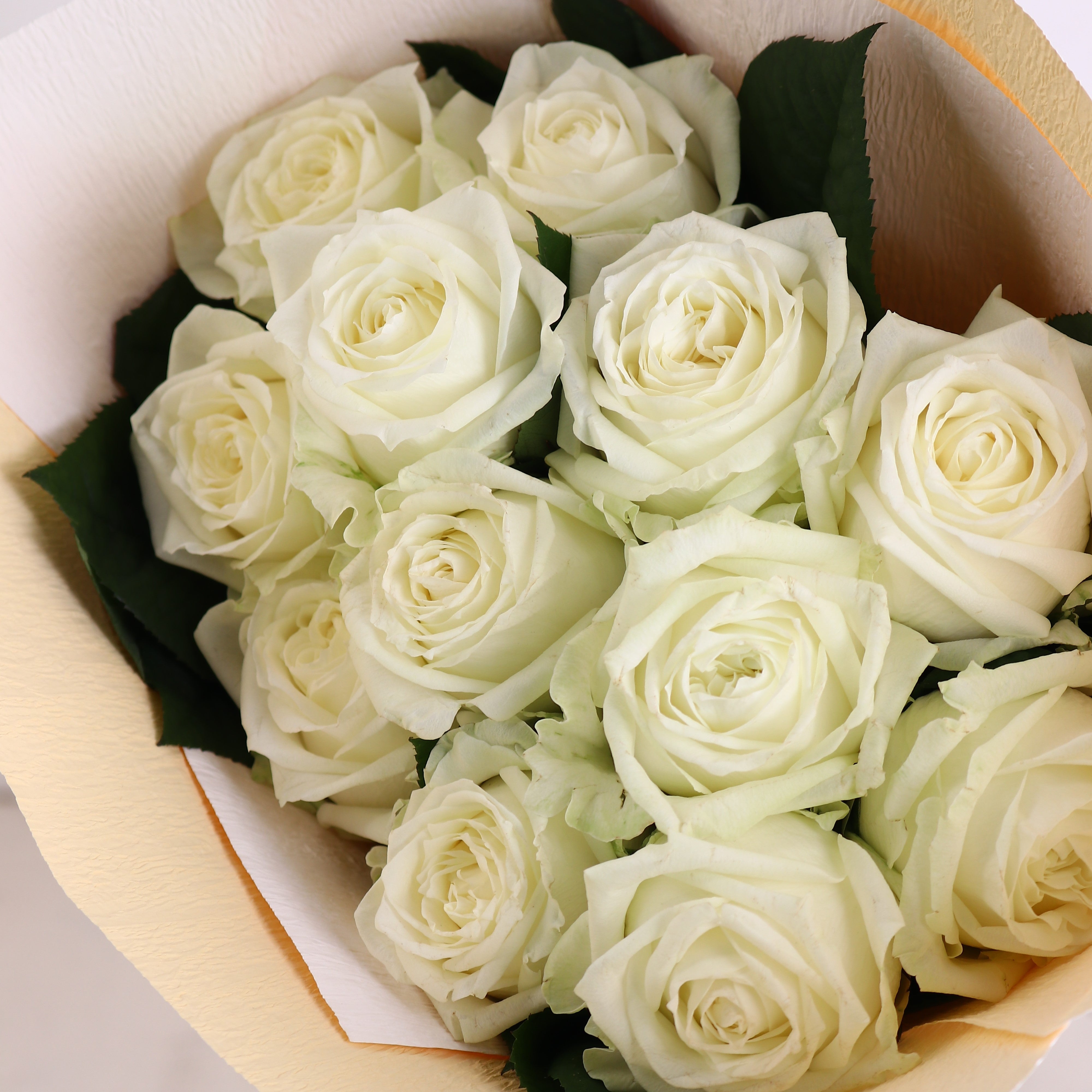 バラの花束「誓いの花束 大輪12本の白バラブーケ」ホワイト系 ギフト プレゼント プロポーズ Sサイズ