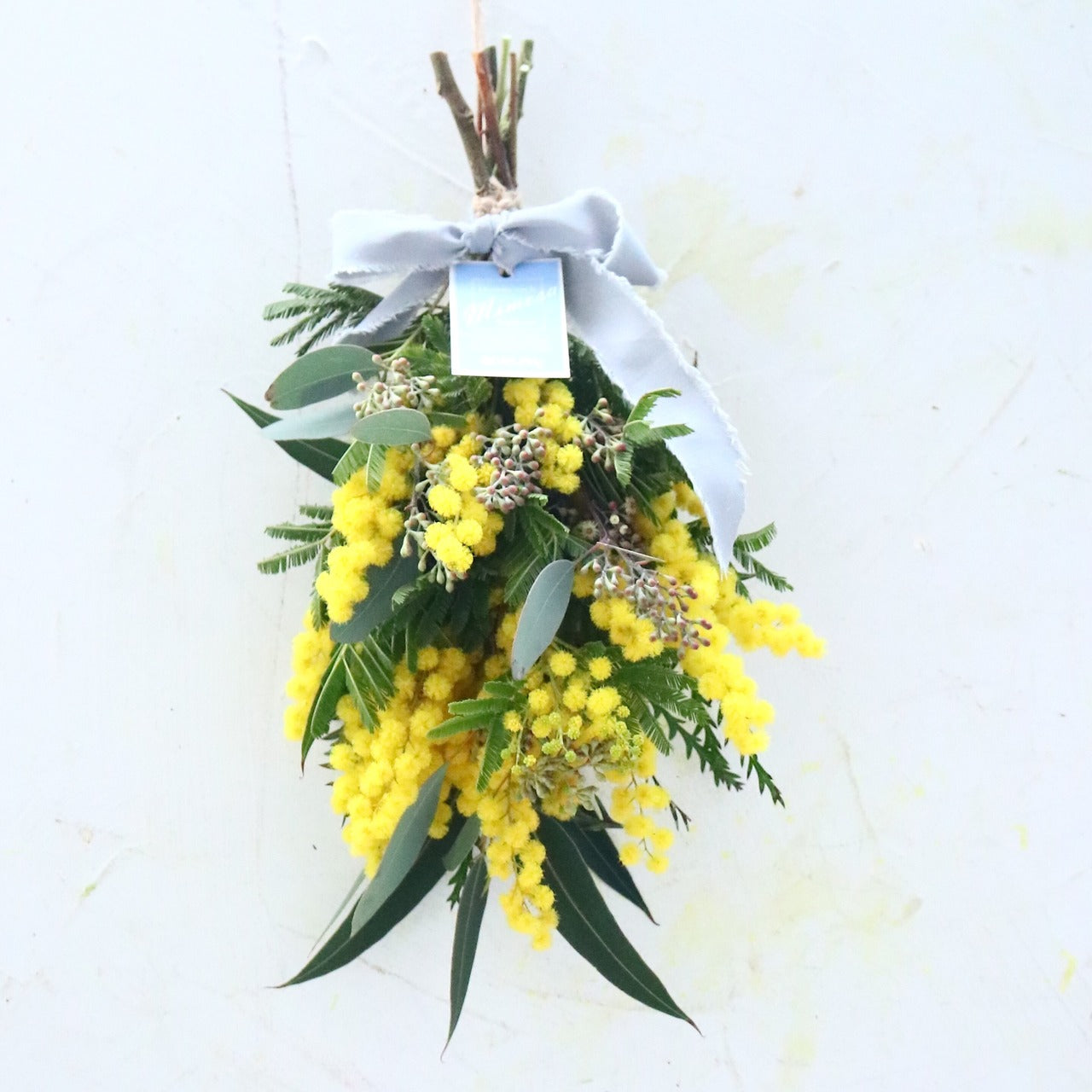 ミモザ「『花言葉は感謝』フランスミモザ・ミランドールのスワッグ S」ミモザの日 ミランドール 女性に贈る 国際女性デー 身近な女性に感謝をする日 ミモザの日を過ぎてもOK