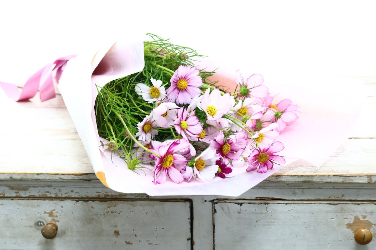 花束「秋風に揺れる可憐な花束 秋桜(コスモス)の花束 20本」 11,000円(税込) 誕生日 記念日 発表会 お祝い 六本木配送無料 ギフト 生花
