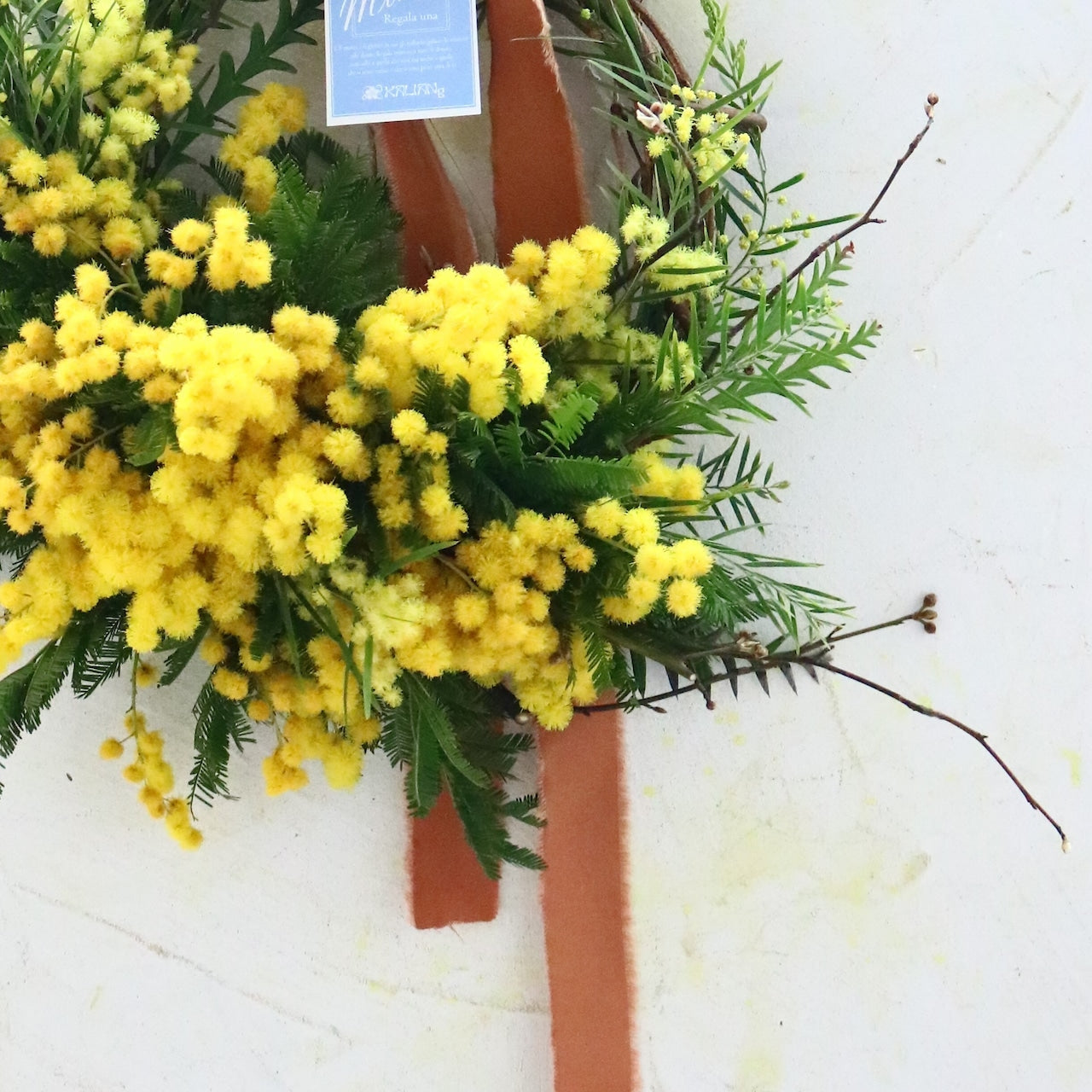 ミモザ「『花言葉は感謝』フランスミモザ・ミランドールの春を呼ぶ〜ドライになるまで楽しむ〜フレッシュクレッセントリースM」ミモザの日 ミランドール 女性に贈る 国際女性デー 身近な女性に感謝をする日 ミモザの日を過ぎてもOK