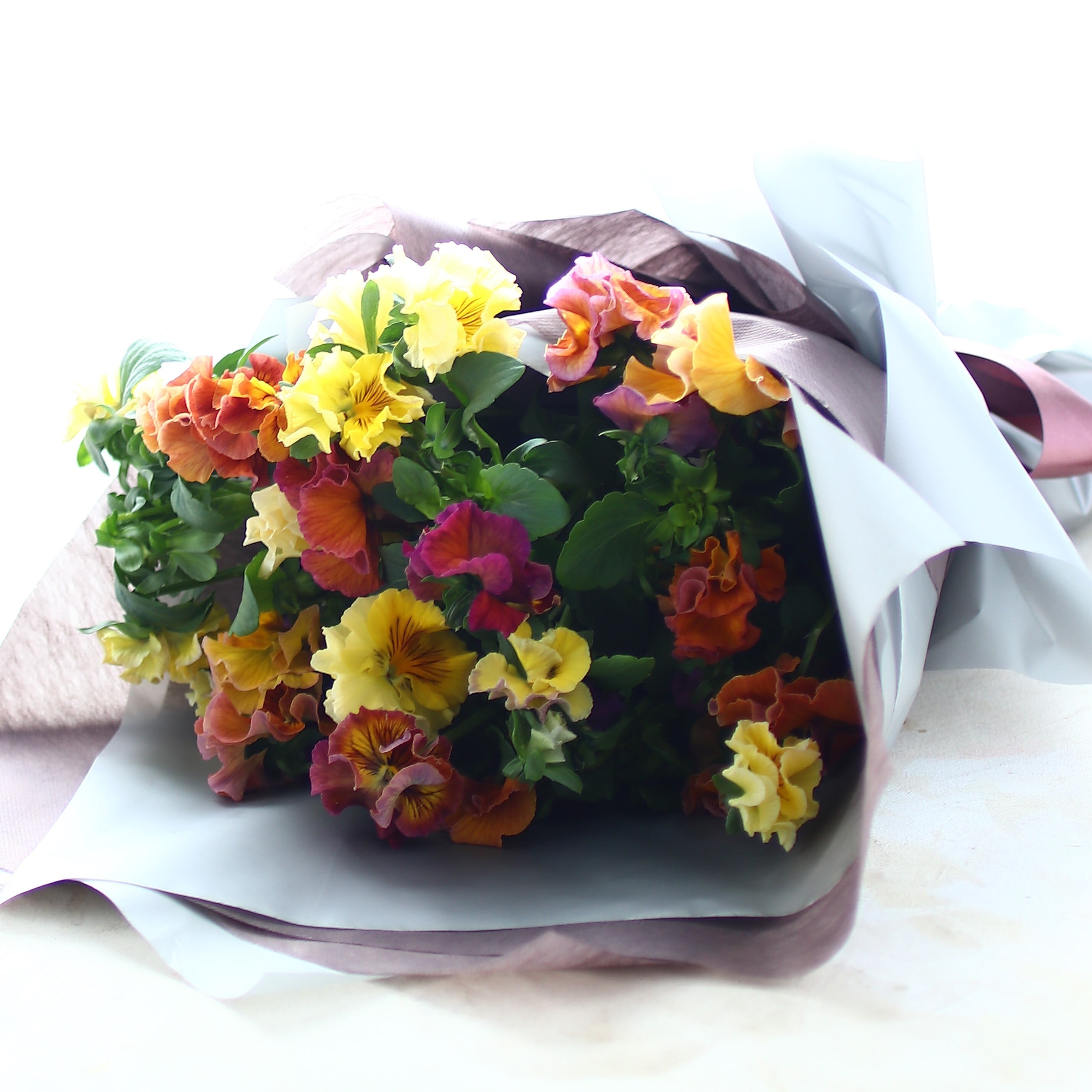 春の花束「花言葉はあなたを想う パンジー大人オレンジMIX 花束」春の花束 卒業 入学 バレンタインデー ホワイトデー パンジー