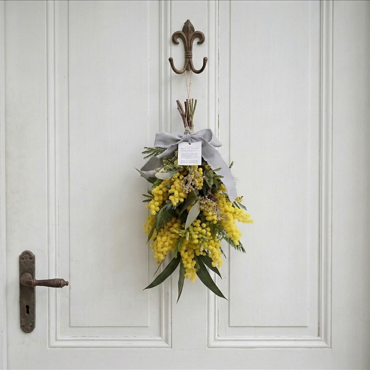 ミモザ「『花言葉は感謝』フランスミモザ・ミランドールのスワッグ S」ミモザの日 ミランドール 女性に贈る 国際女性デー 身近な女性に感謝をする日 ミモザの日を過ぎてもOK