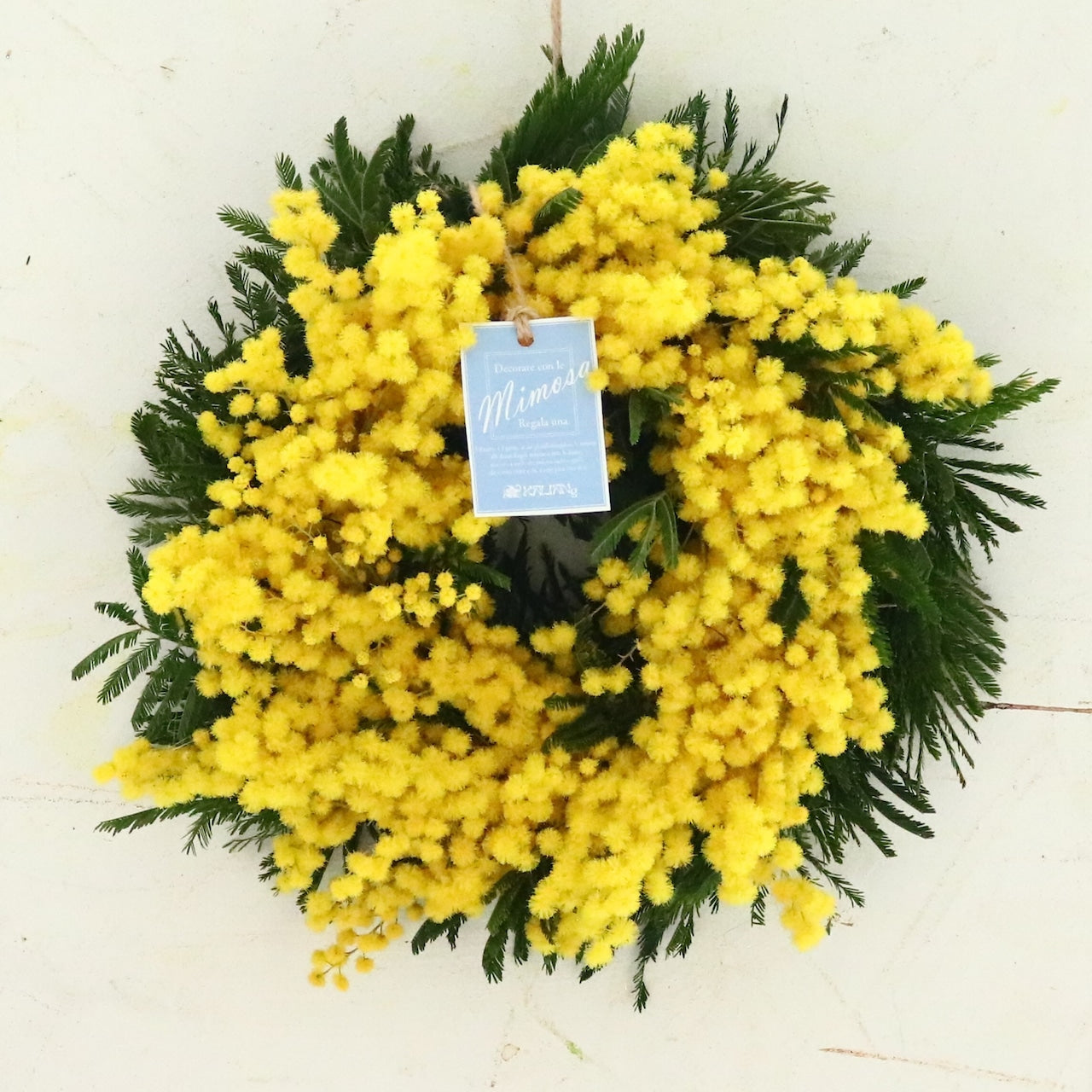 ミモザ「『花言葉は感謝』フランスミモザ・ミランドールの春を呼ぶ〜ドライになるまで楽しむ〜フレッシュリースS」ミモザの日 ミランドール 女性に贈る 国際女性デー 身近な女性に感謝をする日 ミモザの日を過ぎてもOK