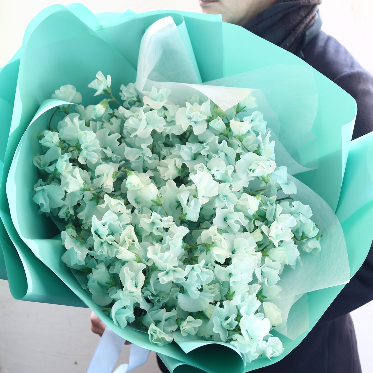 春の花束「香りのよいスイートピーの花束 そらいろ系100本」お誕生日 お祝い 卒業 入学 離職 就職 就任 Lサイズ ブーケ