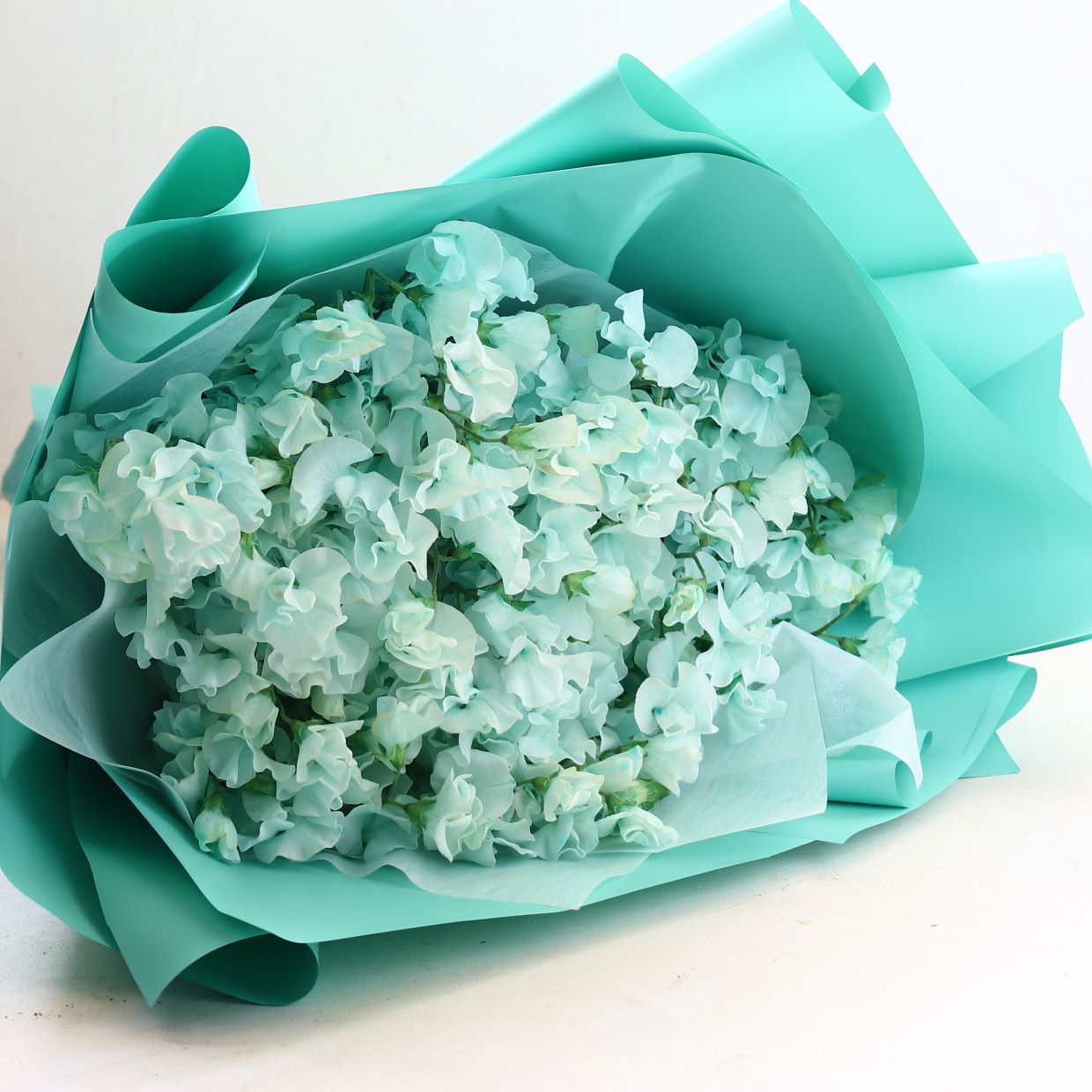 春の花束「香りのよいスイートピーの花束 そらいろ系100本」お誕生日 お祝い 卒業 入学 離職 就職 就任 Lサイズ ブーケ