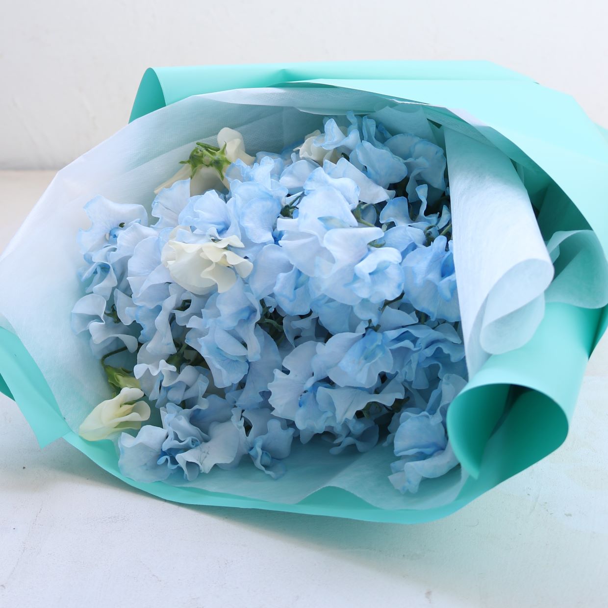 春の花束「香りのよいスイートピーの花束 そらいろ系25本」ライトブルー お誕生日 お祝い 卒業 入学 離職 就職 就任 Sサイズ ブーケ ¥15000 税別