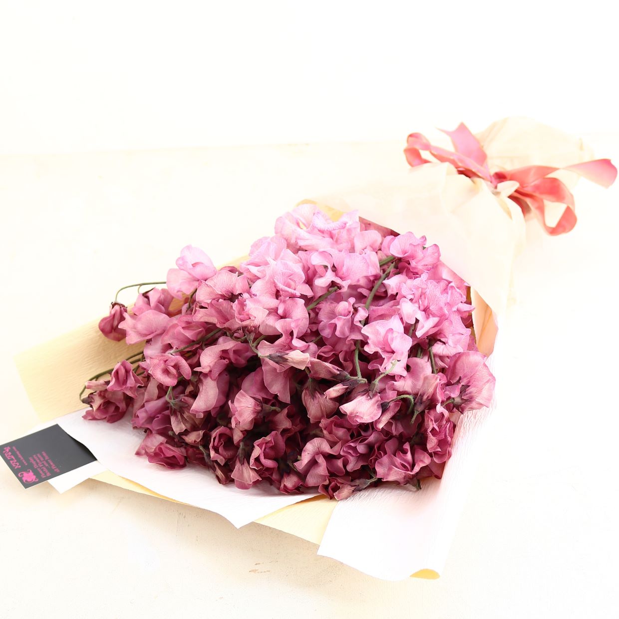 春の花束「香りのよい大人のスイートピーの花束 ボルドー系染50本」お誕生日 お祝い 卒業 入学 離職 就職 就任 Mサイズ ブーケ