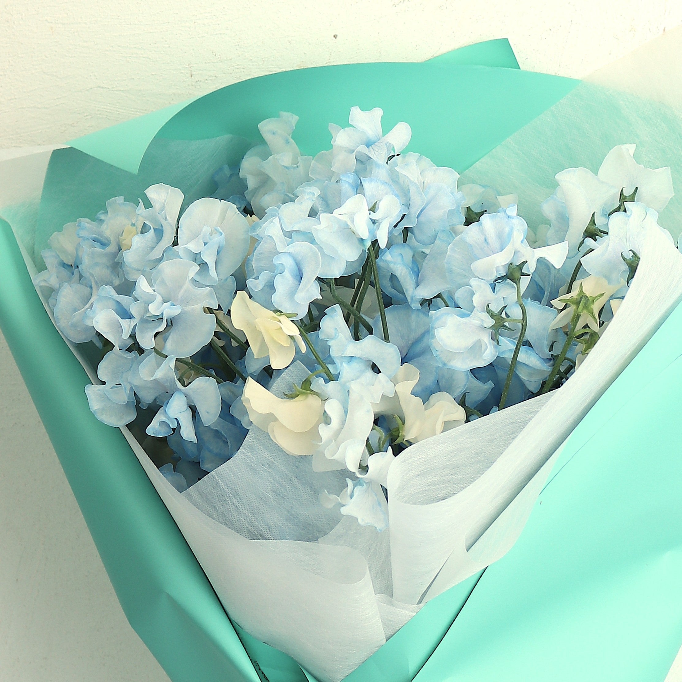 春の花束「香りのよいスイートピーの花束 そらいろ系50本」お誕生日 お祝い 卒業 入学 離職 就職 就任 Mサイズ ブーケ