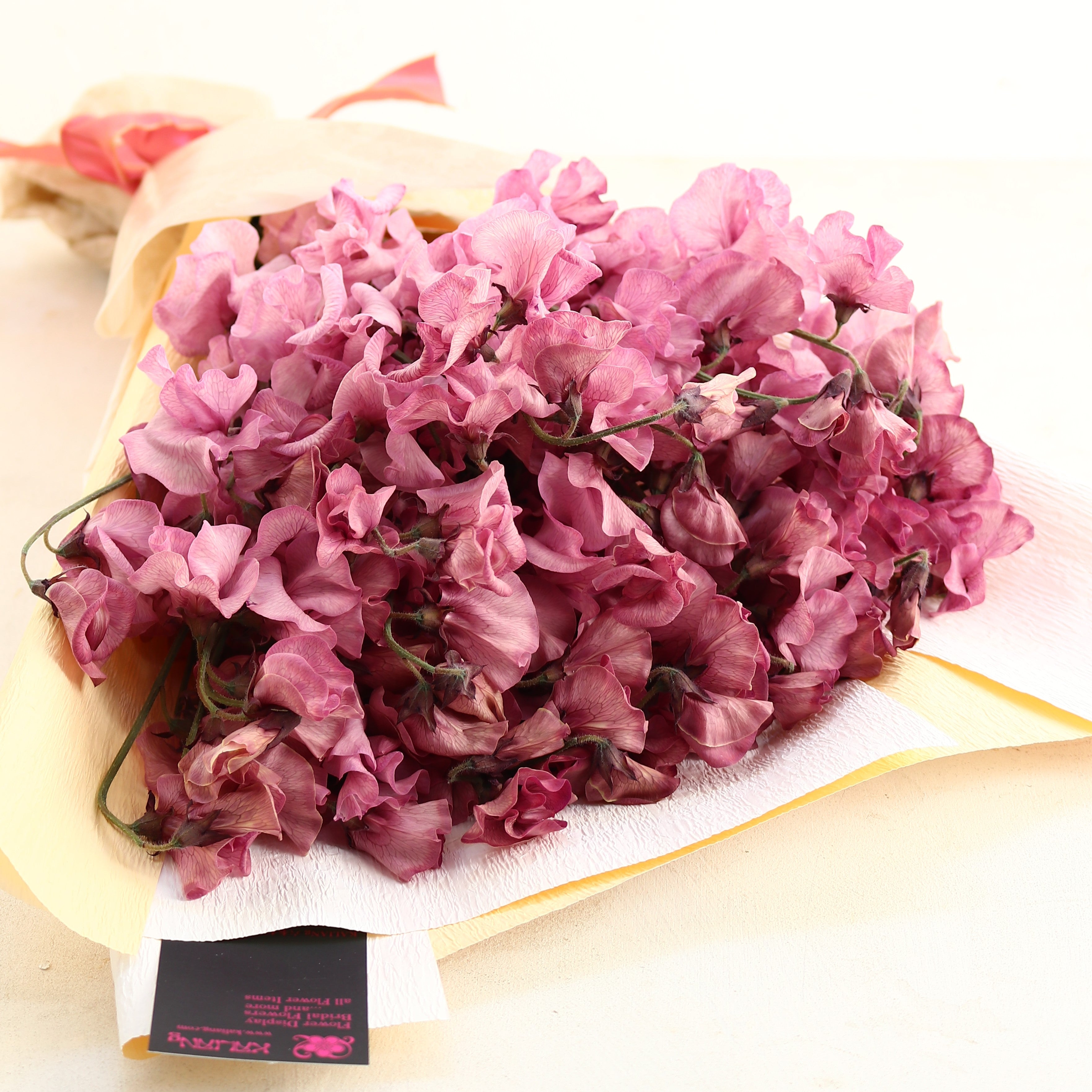 春の花束「香りのよい大人のスイートピーの花束 ボルドー系染50本」お誕生日 お祝い 卒業 入学 離職 就職 就任 Mサイズ ブーケ