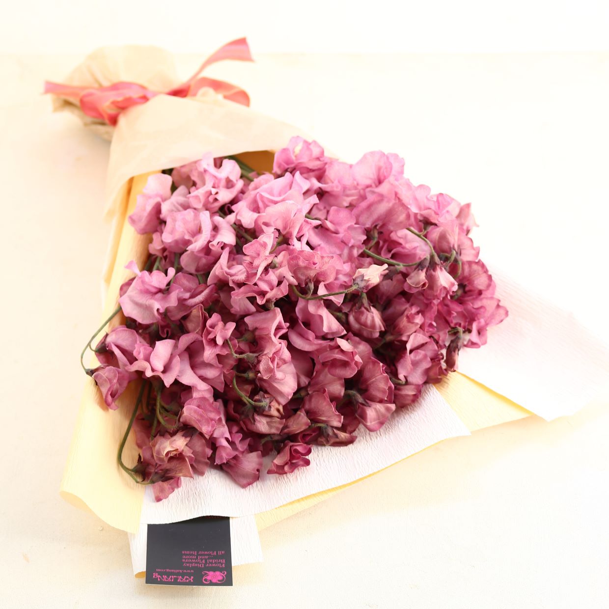 春の花束「香りのよい大人のスイートピーの花束 ボルドー系染50本」お誕生日 お祝い 卒業 入学 離職 就職 就任 Mサイズ ブーケ