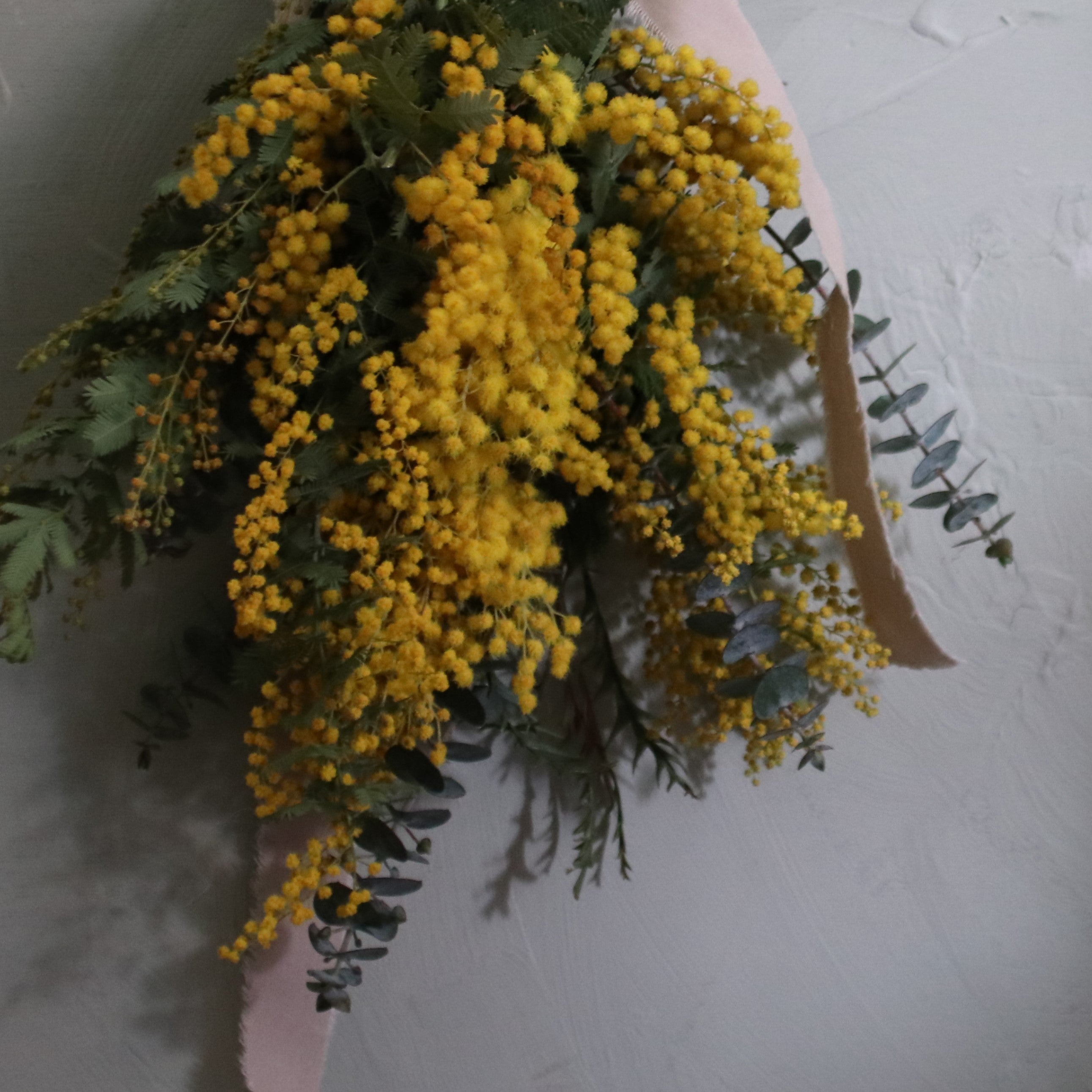 ミモザ スワッグ「ミモザとユーカリのドライフラワースワッグ」SSサイズ 35cm ミモザ ドライフラワー ミモザアカシア 花束