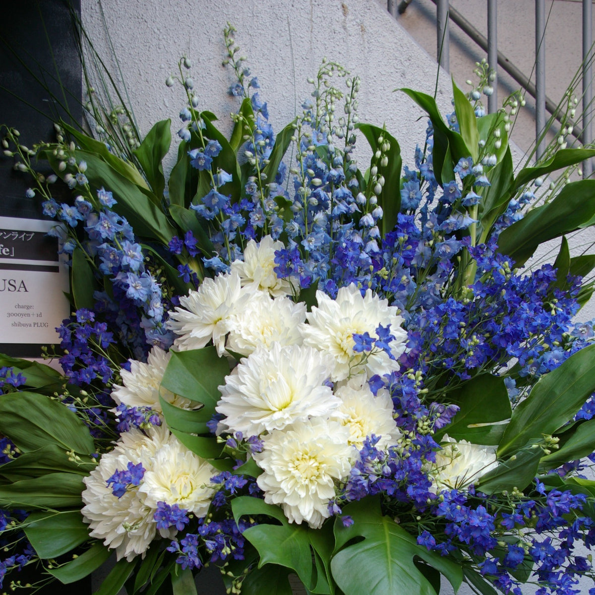 クリアランス　セール　新品　白と青　Lサイズ　125㎝　スタンダード 黒松白鹿「山田錦」30周年！シリーズ刷新のご案内 | 白鹿 HAKUSHIKA