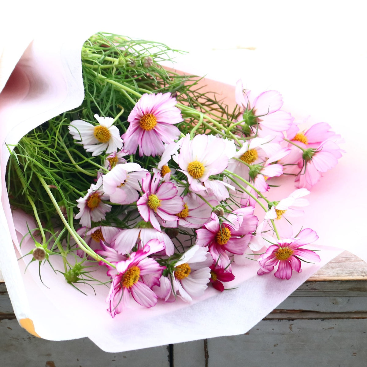 花束「秋風に揺れる可憐な花束　秋桜（コスモス）の花束 30本」 16,500円（税込） 誕生日 記念日 発表会 お祝い 六本木配送無料 ギフト 生花