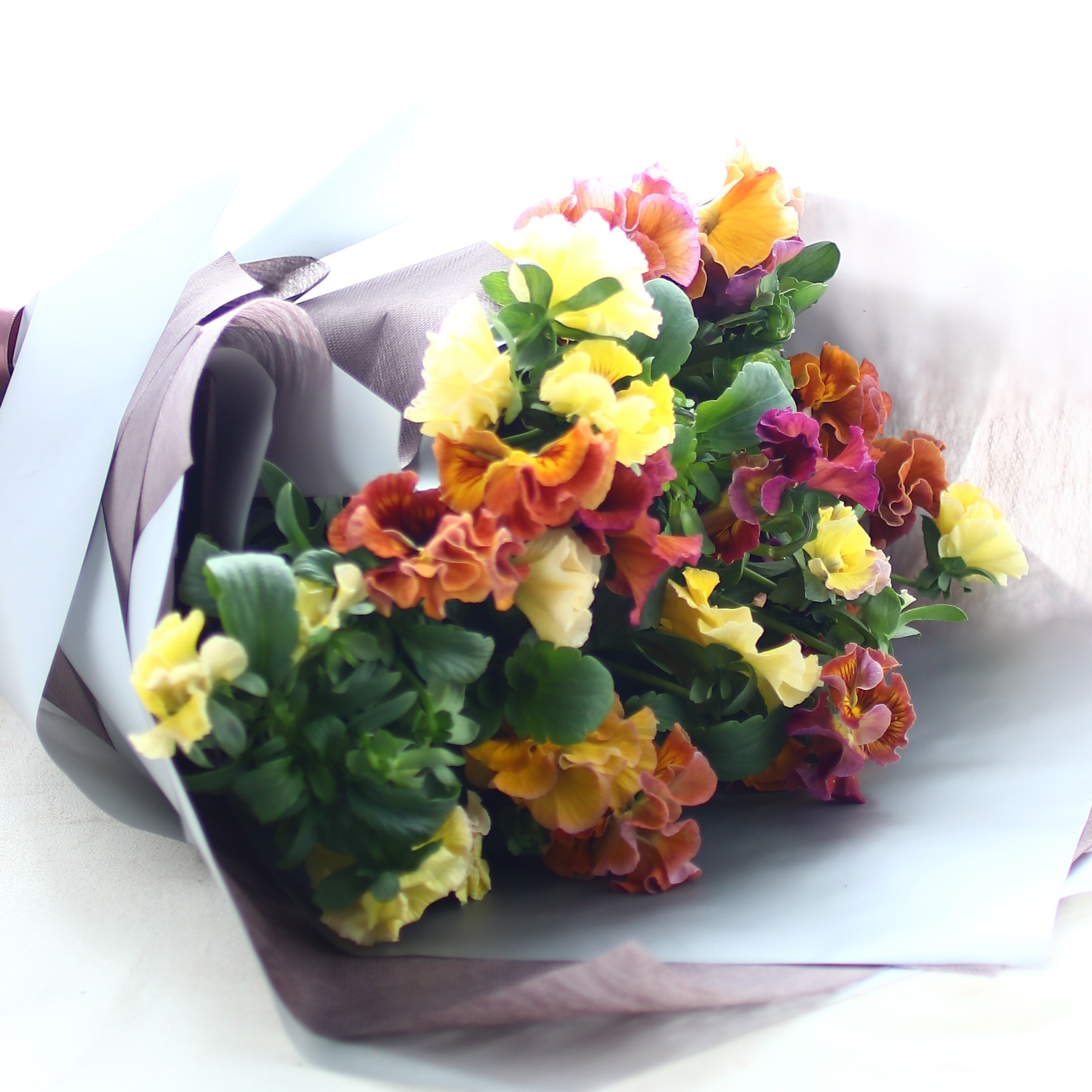 春の花束「花言葉はあなたを想う　パンジー大人オレンジMIX　花束」春の花束　卒業　入学　バレンタインデー　ホワイトデー　パンジー