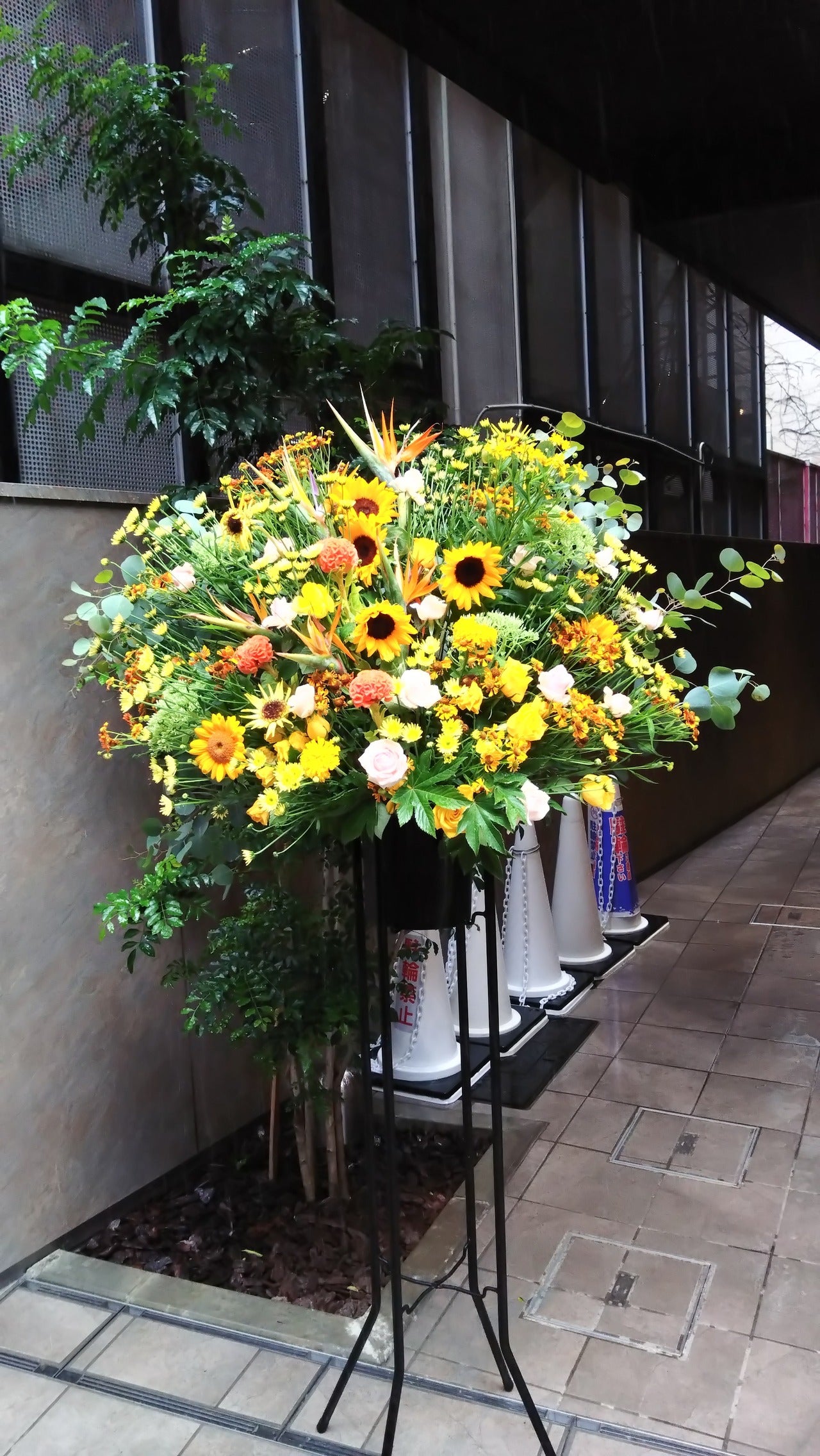 ヒマワリ　スタンド花「黄色オレンジミックスカラースタンド１段」お祝い花　フラワースタンド　黄色オレンジ系MIX　１段パイプ　開店祝い　開業祝い