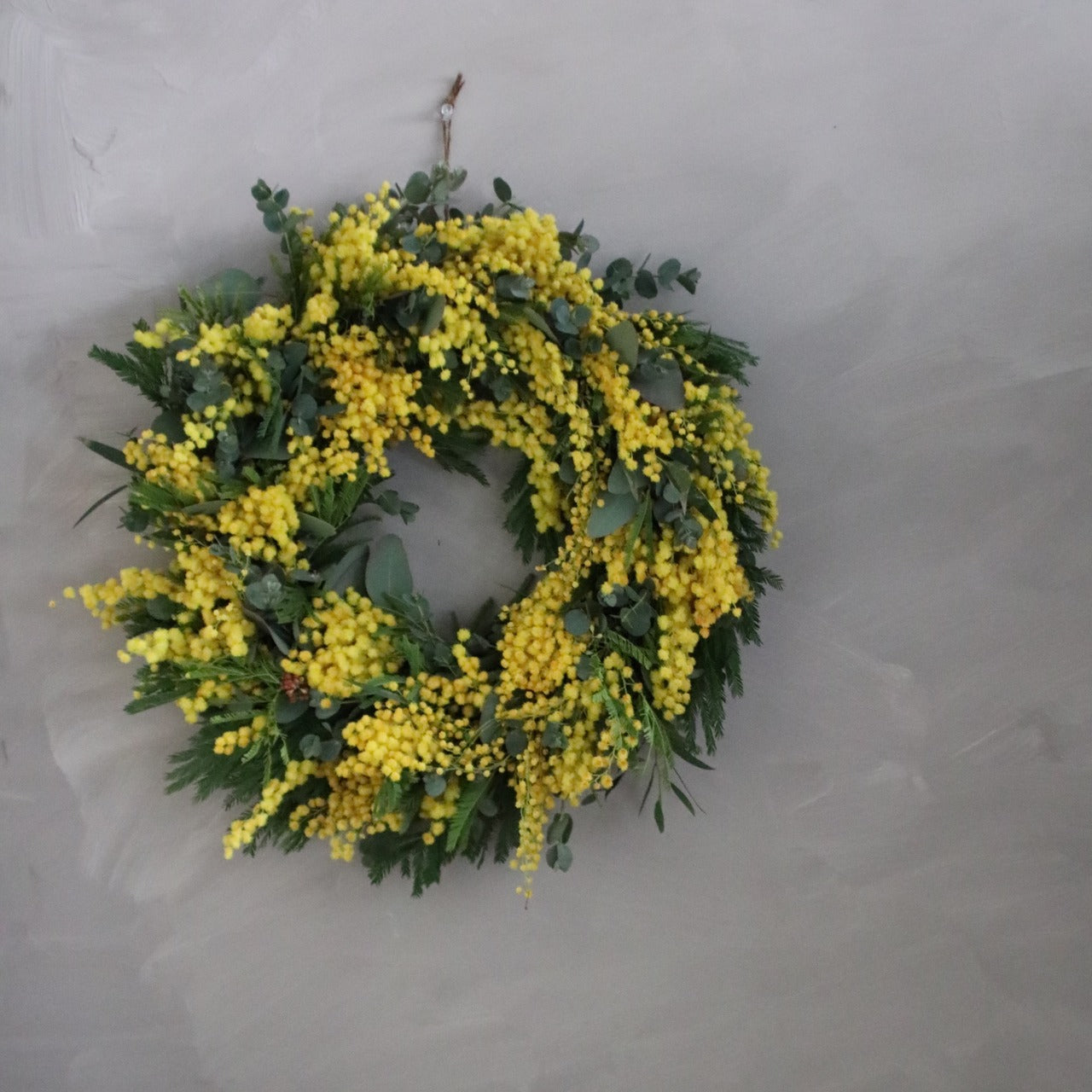 ミモザ 「ミモザとユーカリのフレッシュリース」LLサイズ 40cm リングベース ミモザ フレッシュ ミモザアカシア