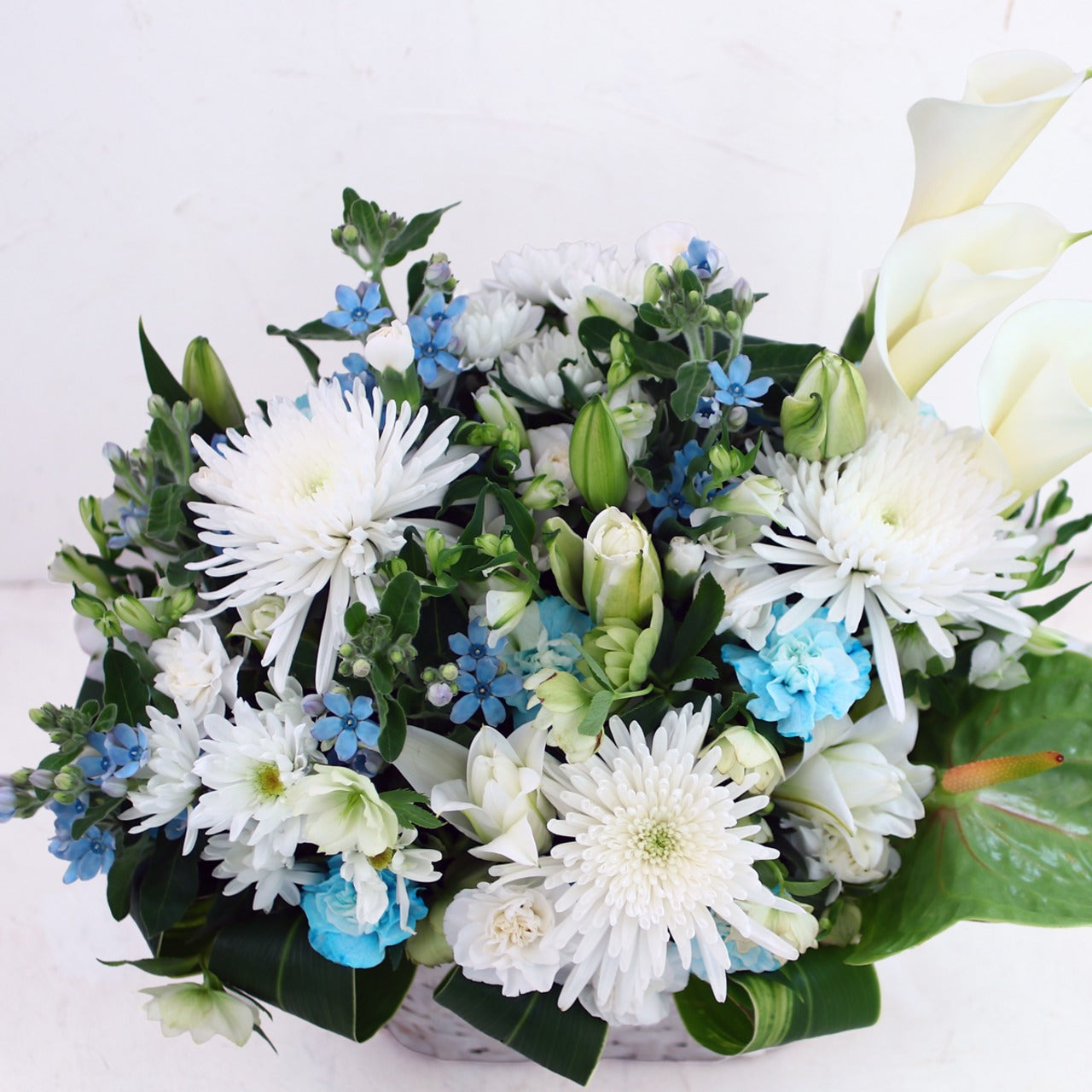 御供花　アレンジメント「白いマムとカラーの白水色のお供え花」Lサイズ　マム　カラー　ホワイト　ライトブルー　15000円（税別）