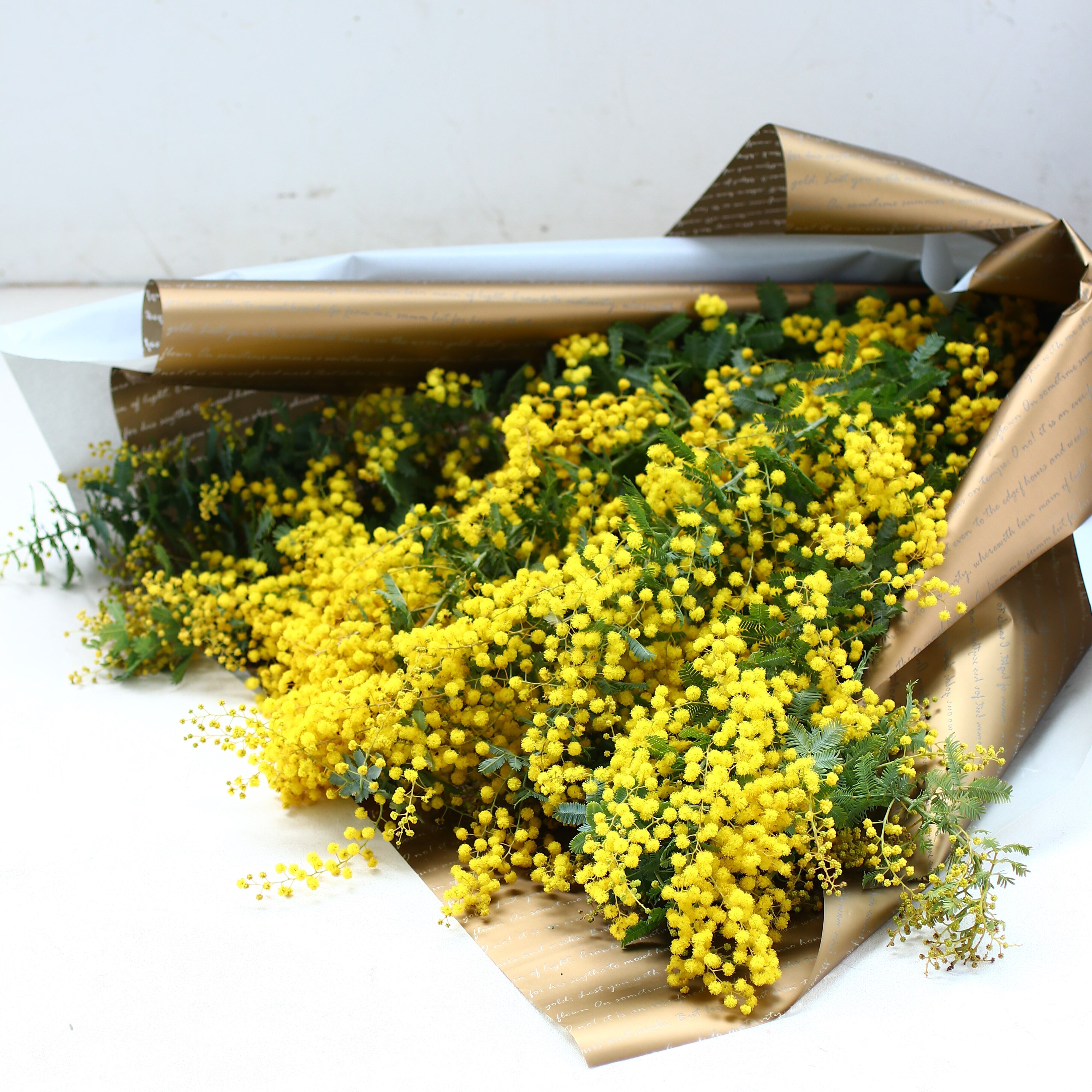 ミモザ 花束「ミモザのフレッシュブーケ」Lサイズ 70cm ミモザ フレッシュ ミモザアカシア 花束