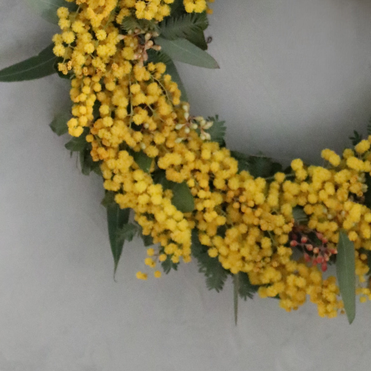 ミモザ 「ミモザとユーカリのフレッシュリース」Sサイズ 15cm リングベース ミモザ フレッシュ ミモザアカシア