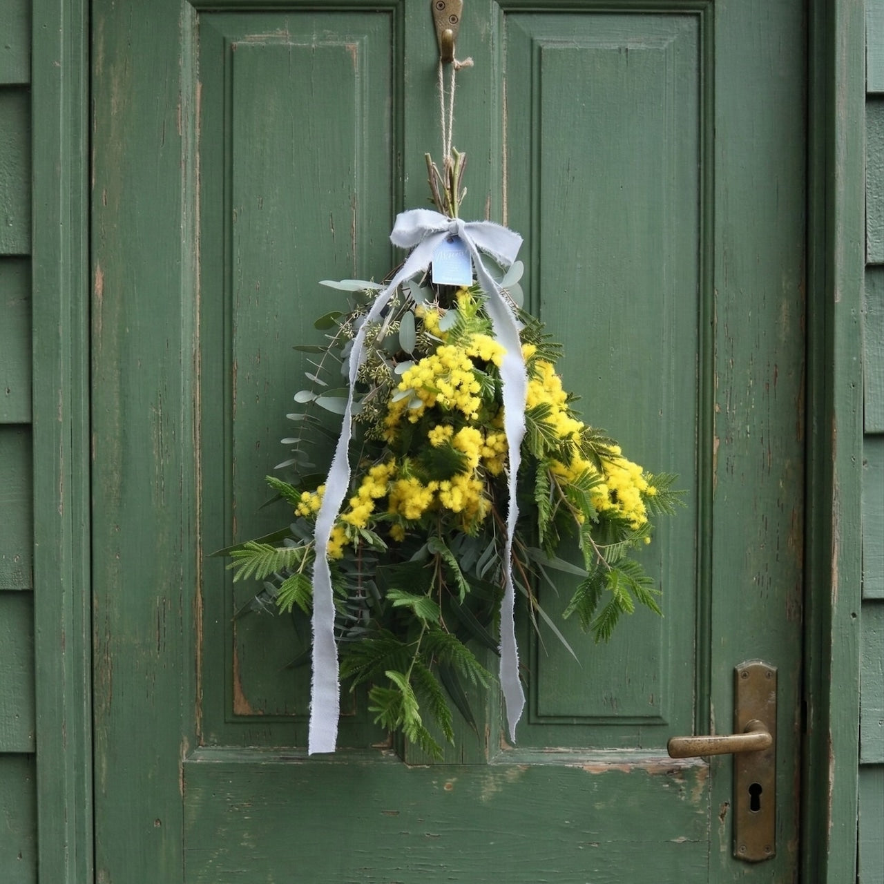 ミモザ「『花言葉は感謝』フランスミモザ・ミランドールのスワッグ M」ミモザの日　ミランドール　女性に贈る　国際女性デー　身近な女性に感謝をする日　ミモザの日を過ぎてもOK