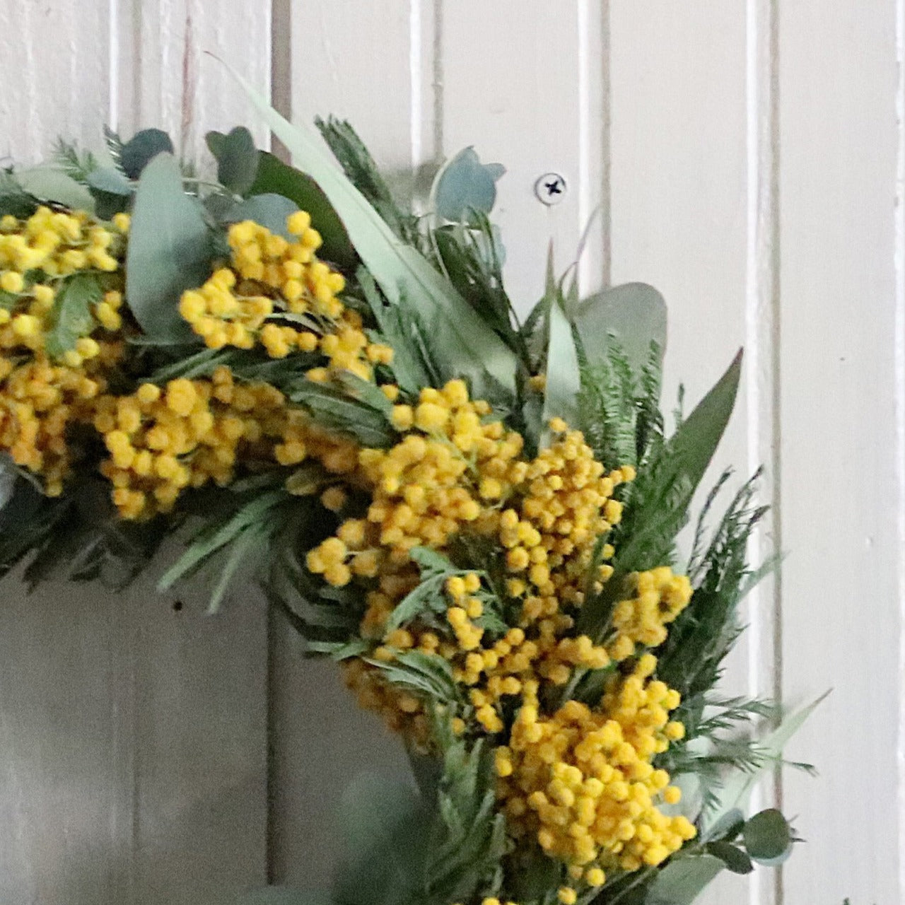 ミモザ 「ミモザとユーカリのドライフラワーリース」Mサイズ 20cm リングベース ミモザ ドライフラワーリース ミモザアカシア