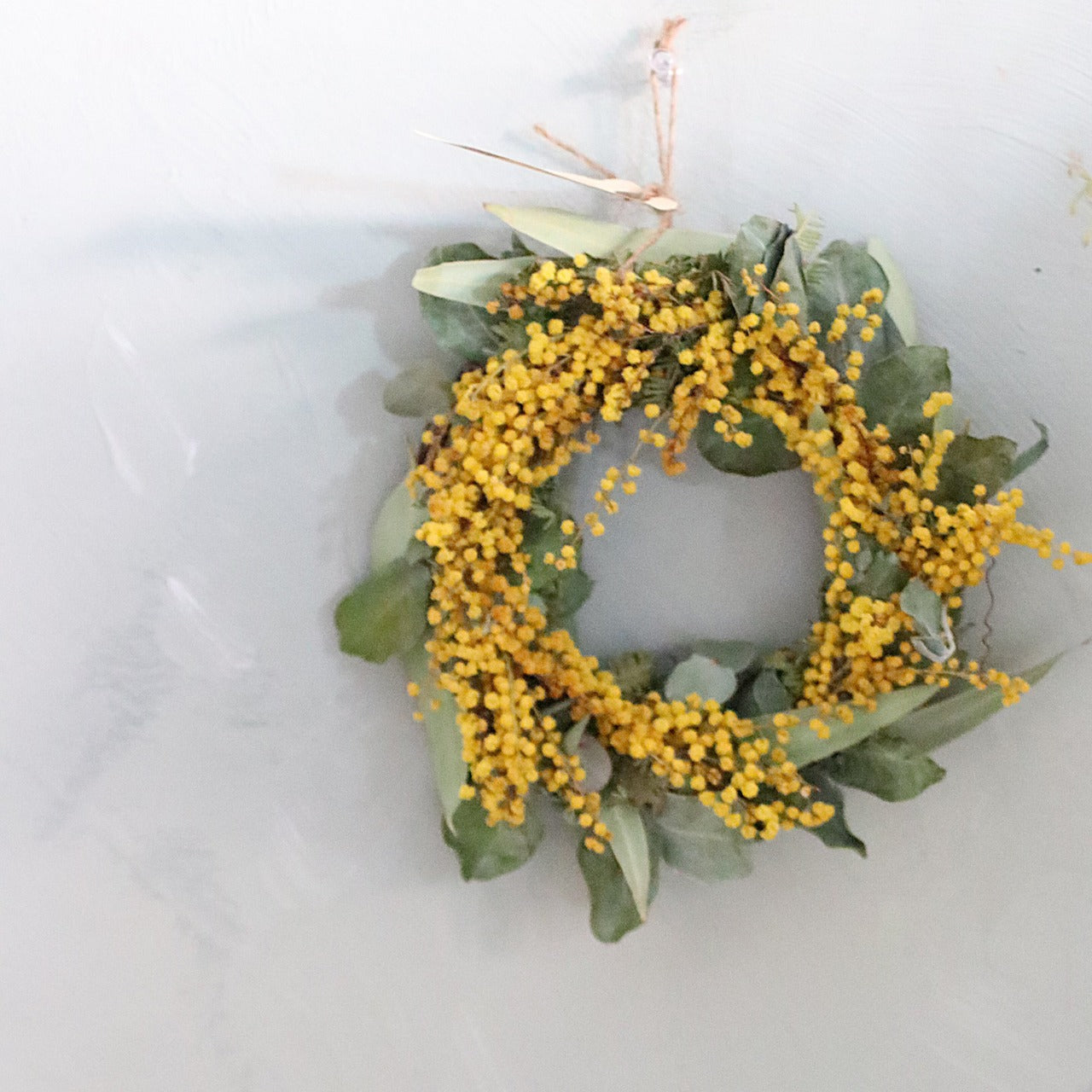 88b63ec67a08f32ba2100aaae51468