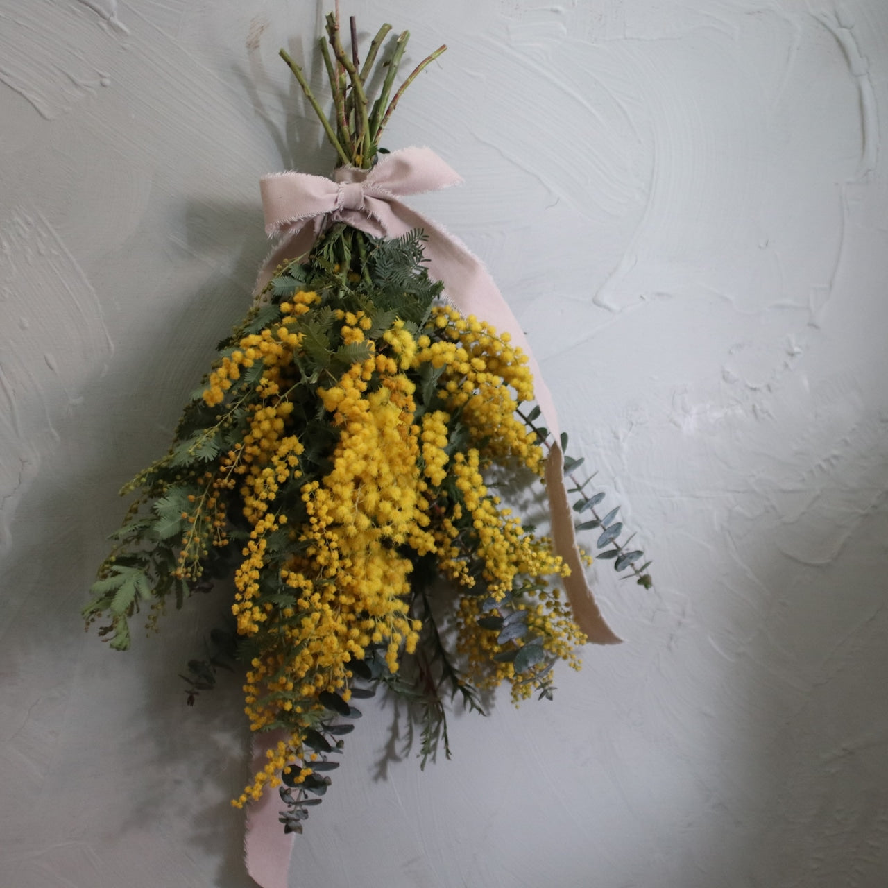 ミモザ  スワッグ「ミモザとユーカリのドライフラワースワッグ」SSサイズ 35cm ミモザ ドライフラワー ミモザアカシア 花束