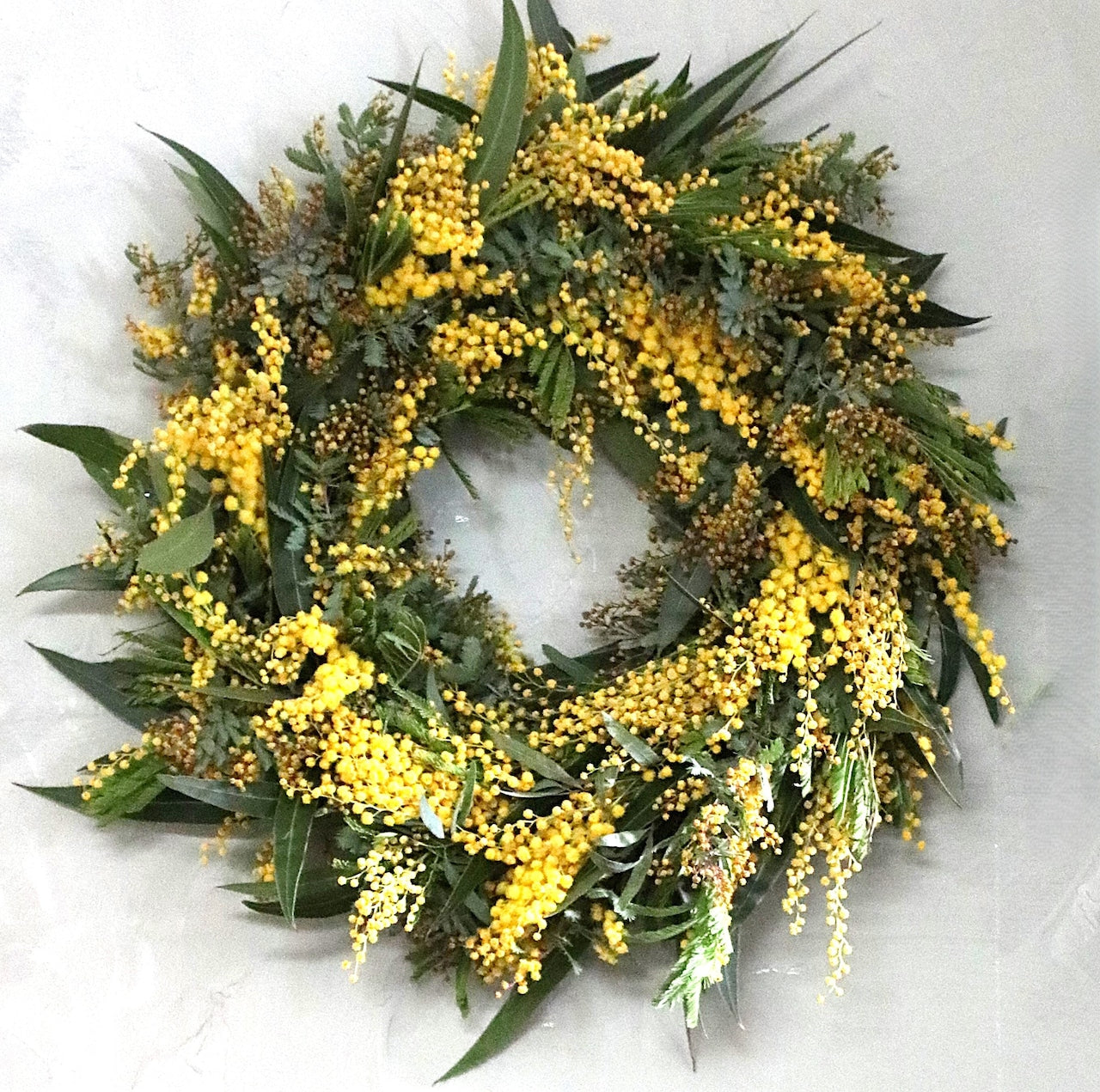 ミモザ 「ミモザとユーカリのフレッシュリース」Lサイズ 30cm リングベース ミモザ フレッシュ ミモザアカシア