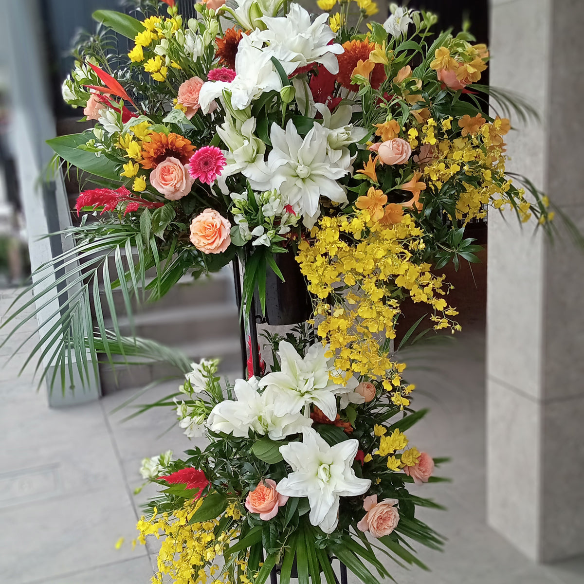 DSC_0063_1200x1200_crop_center