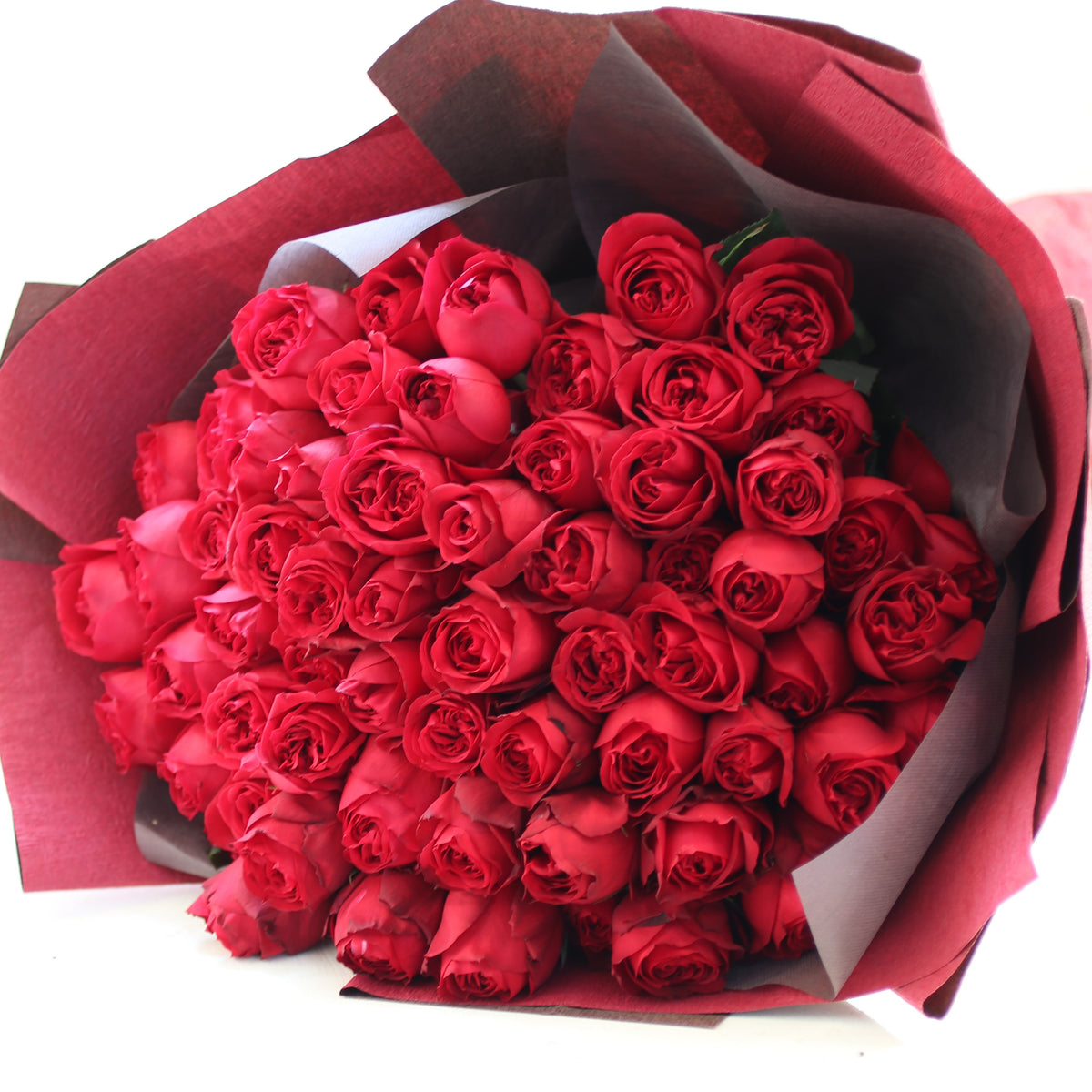 R1100__60__02_1200x1200_crop_c