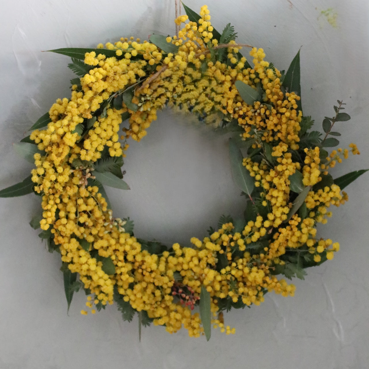 ミモザ 「ミモザとユーカリのフレッシュリース」Sサイズ 15cm リングベース ミモザ フレッシュ ミモザアカシア