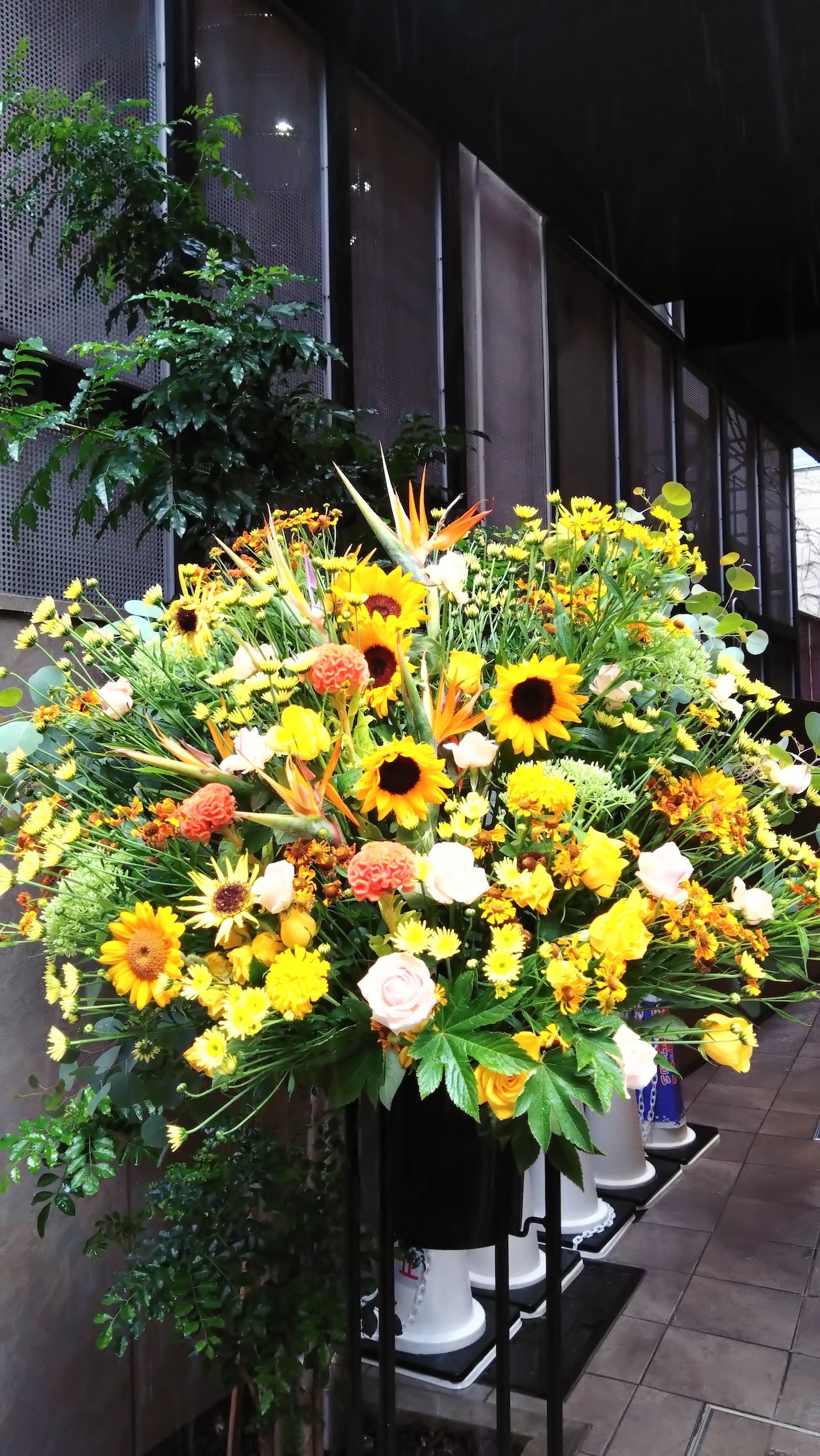 ヒマワリ　スタンド花「黄色オレンジミックスカラースタンド１段」お祝い花　フラワースタンド　黄色オレンジ系MIX　１段パイプ　開店祝い　開業祝い